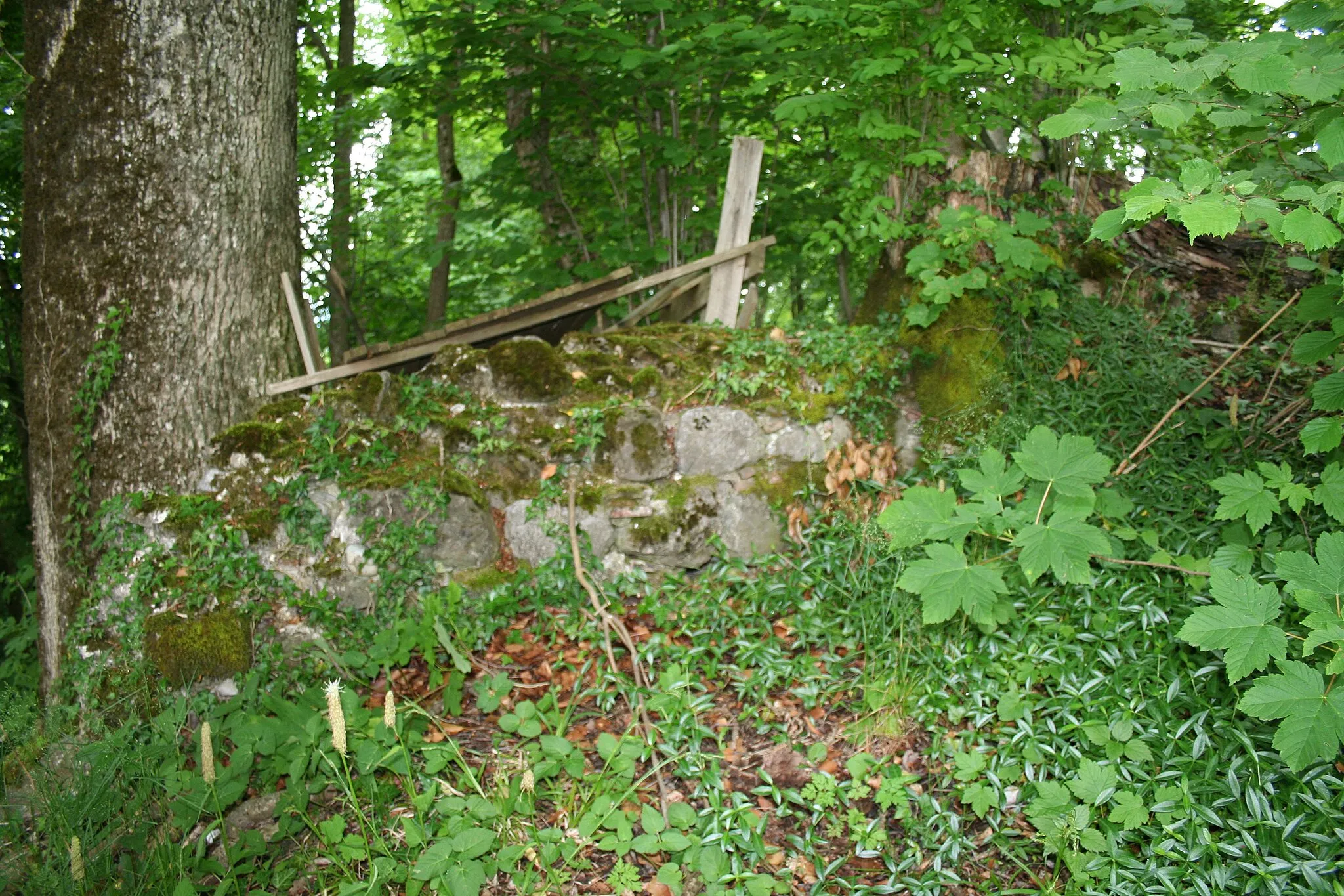 Photo showing: Mauerrest der Burg Breitenlandenberg