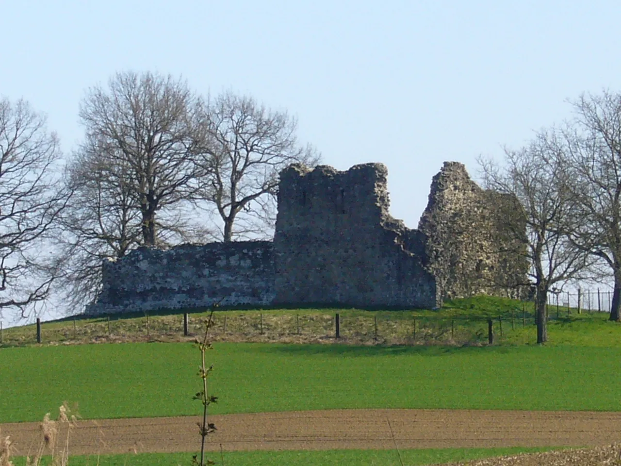 Photo showing: Remains of the castle Helfenberg in the village of Uerschhausen, canton of Thurgau, Switzerland. Picture taken by Peter Berger. April 6, 2007.