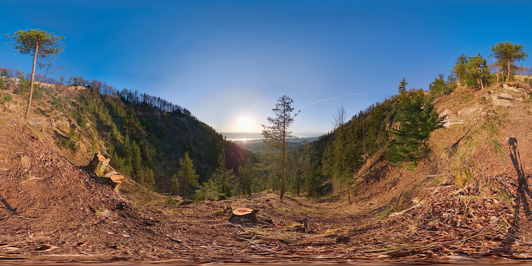 Photo showing: Spherical panoramic of Fallätsche shortly after the clearing of trees and vegetation from January to March 2021. The picture was taken near the "Traverse" path. This panorama was blended from three exposure layers consisting of 18 pictures each, so consists of a total of 54 exposures.