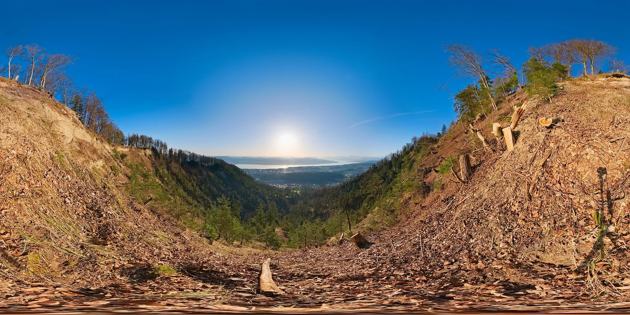 Photo showing: Spherical panoramic of Fallätsche shortly after the clearing of trees and vegetation from January to March 2021.  The picture was taken near the "Direttissima Mitte Nord" path, shortly below the upper edge.  This panorama was blended from three exposure layers consisting of 17 pictures each, so consists of a total of 51 exposures.