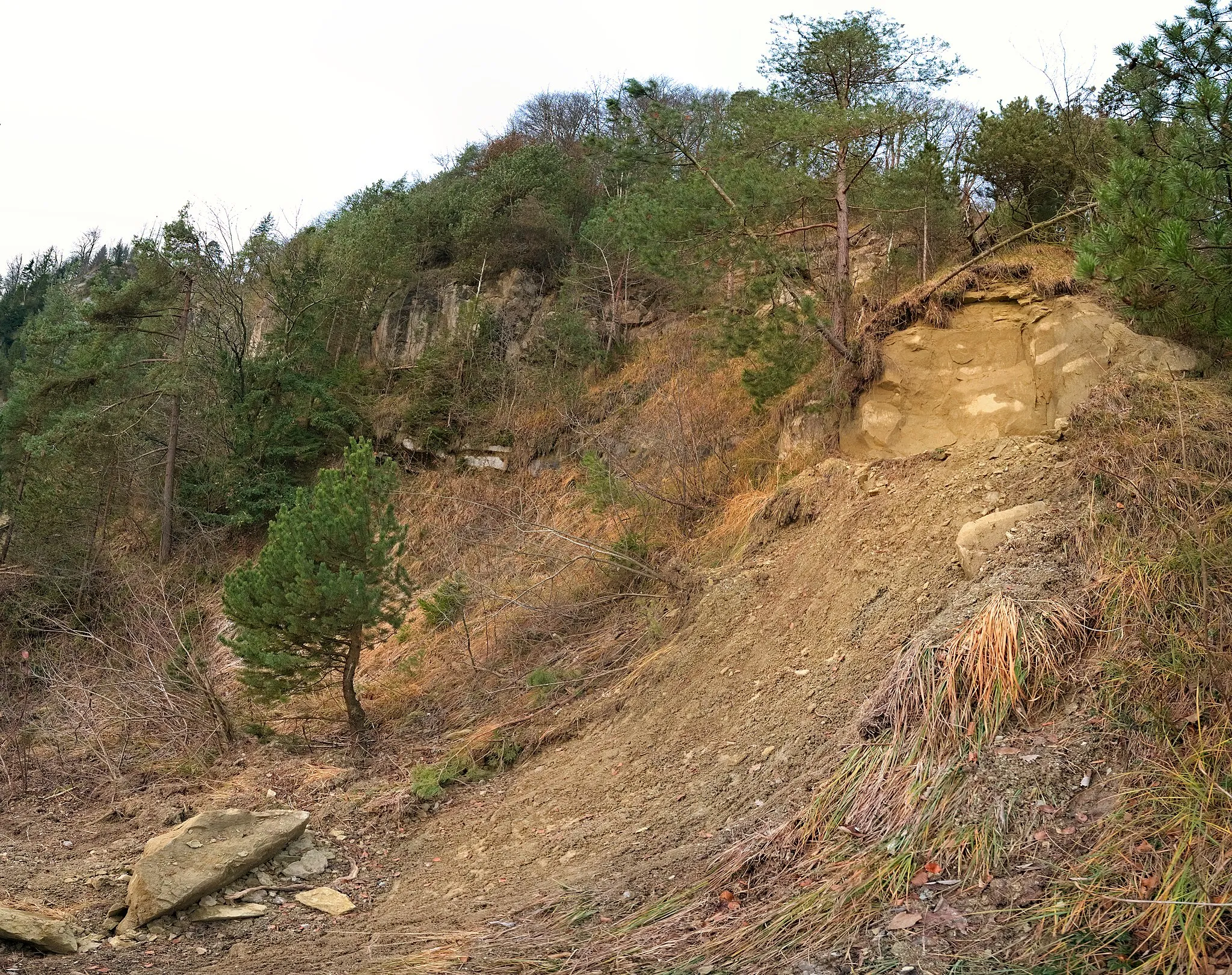 Photo showing: Fallätsche is an erosion and nature area near Zurich.  The picture here shows the aftermath of a small landslide, that destroyed a small rock spur under which previously a book for hikers had been.  The landslide took place only a few weeks before, probably some time in November 2019.