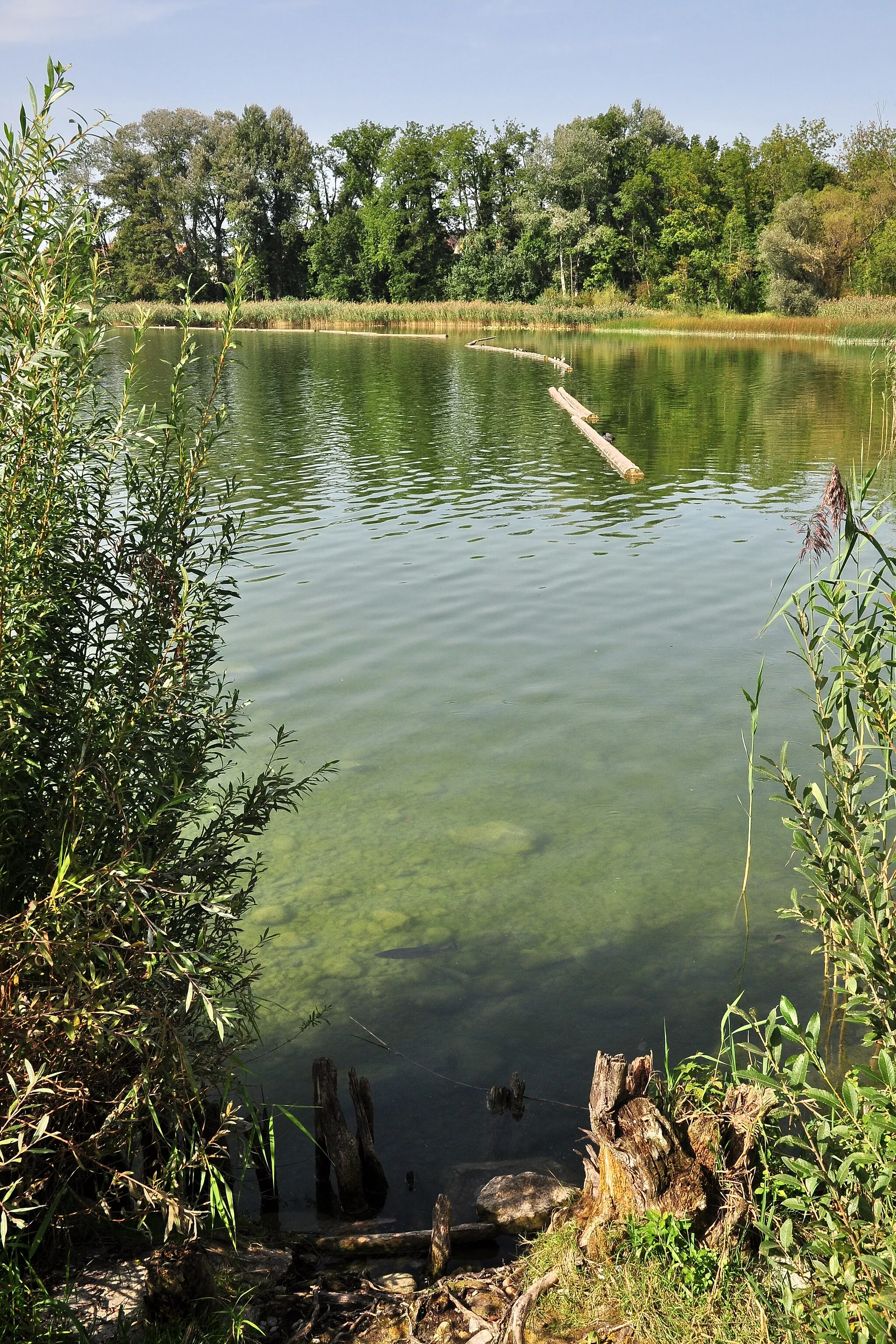 Photo showing: Storen, neolithische Seeufersiedlungen in Greifensee (Switzerland)