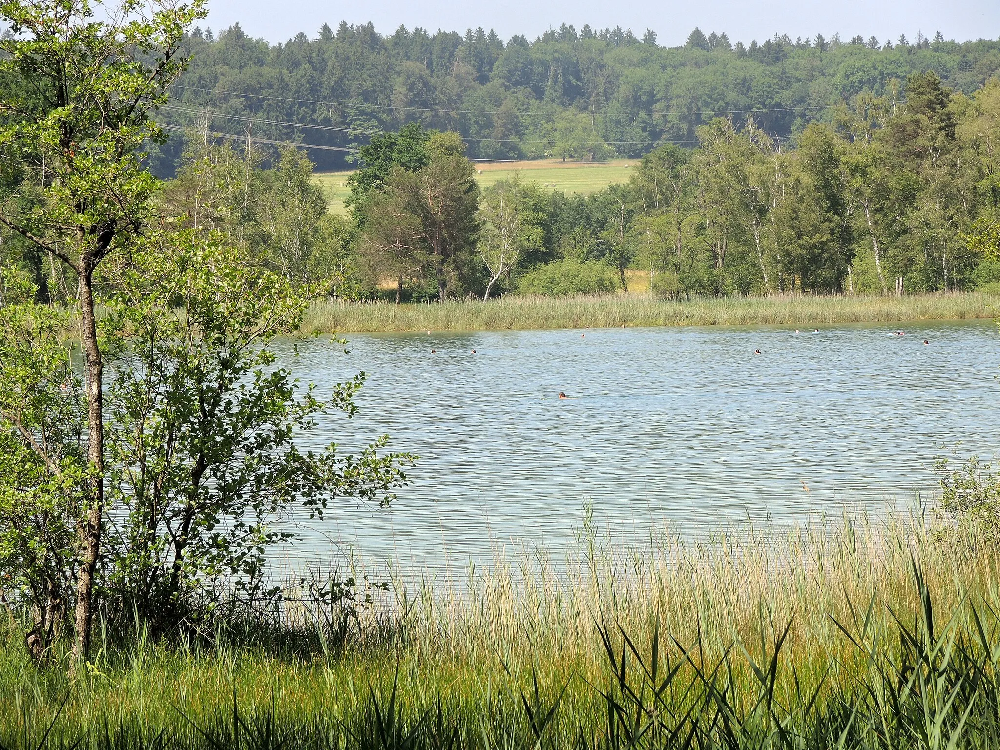 Photo showing: Rümlang & oberer Katzensee in Zürich-Affoltern (Switzerland)