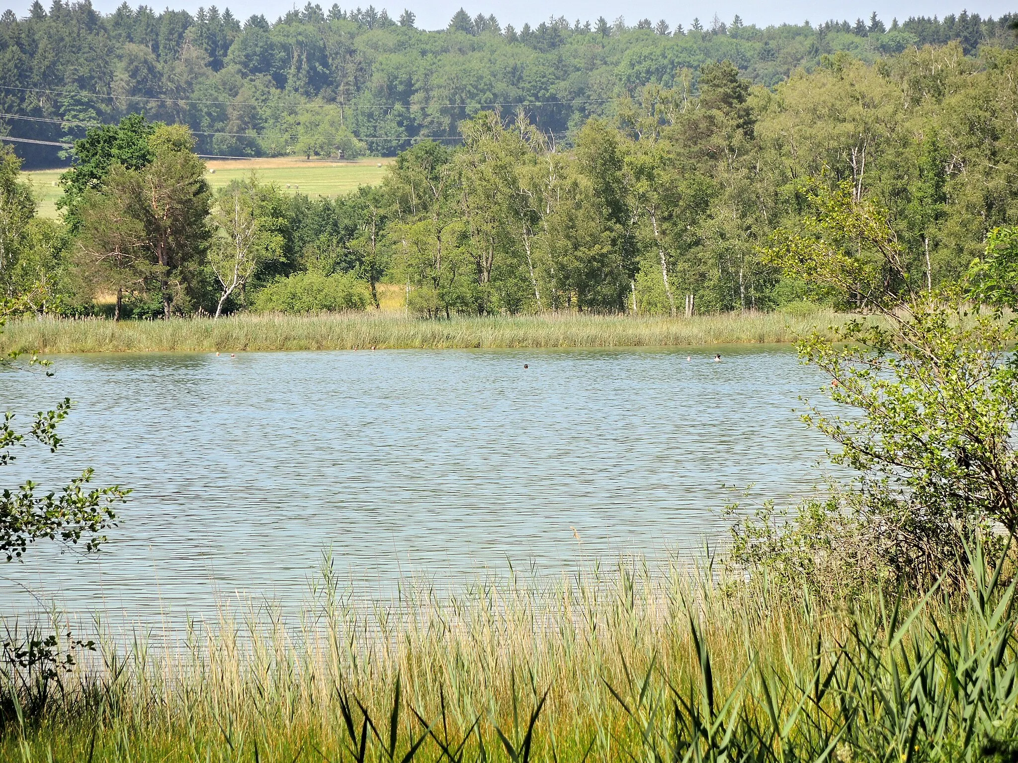 Photo showing: Rümlang & oberer Katzensee in Zürich-Affoltern (Switzerland)