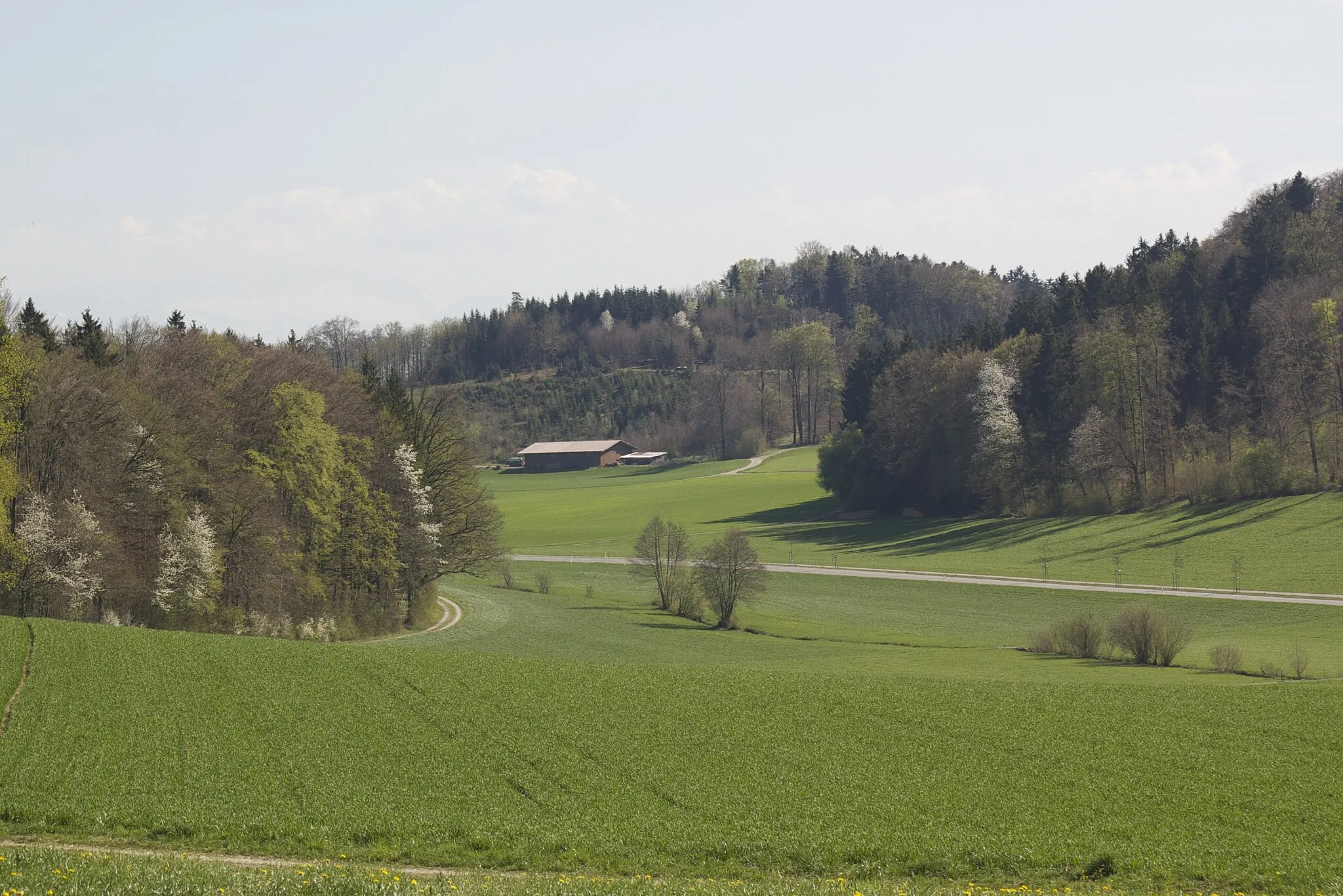 Photo showing: Blick über die Bachwiesen am Riedbach zwischen Nürensdorf und Lindau.