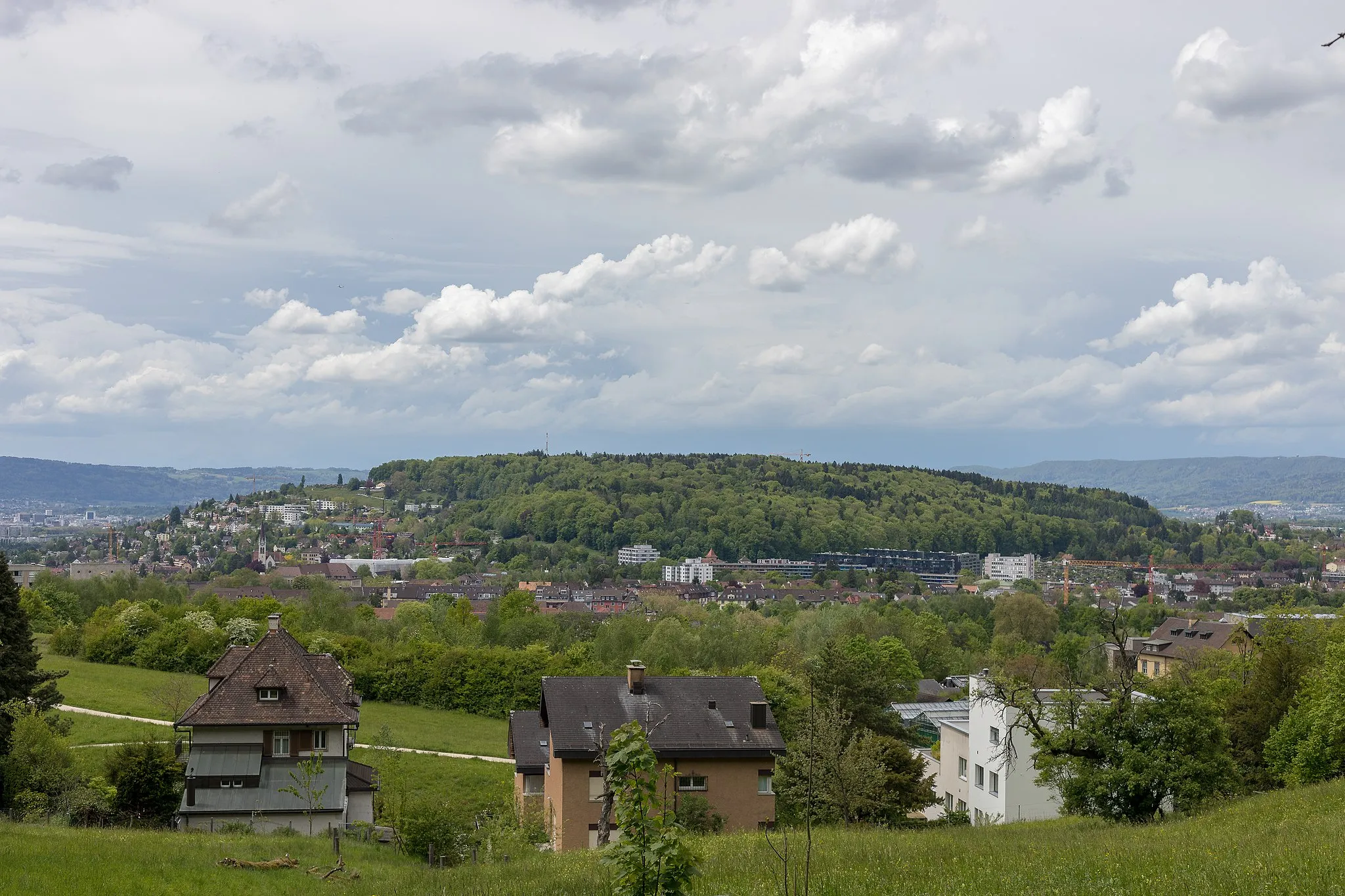 Photo showing: Käferberg, Zürich gesehen vom Zürichberg (hinter dem Milchbuck)