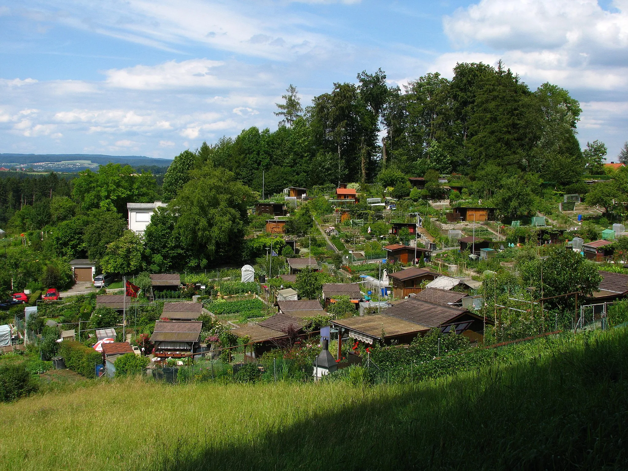 Photo showing: Zürich-Affoltern : Schrebergarten on northern Käferberg-Waidberg hill.