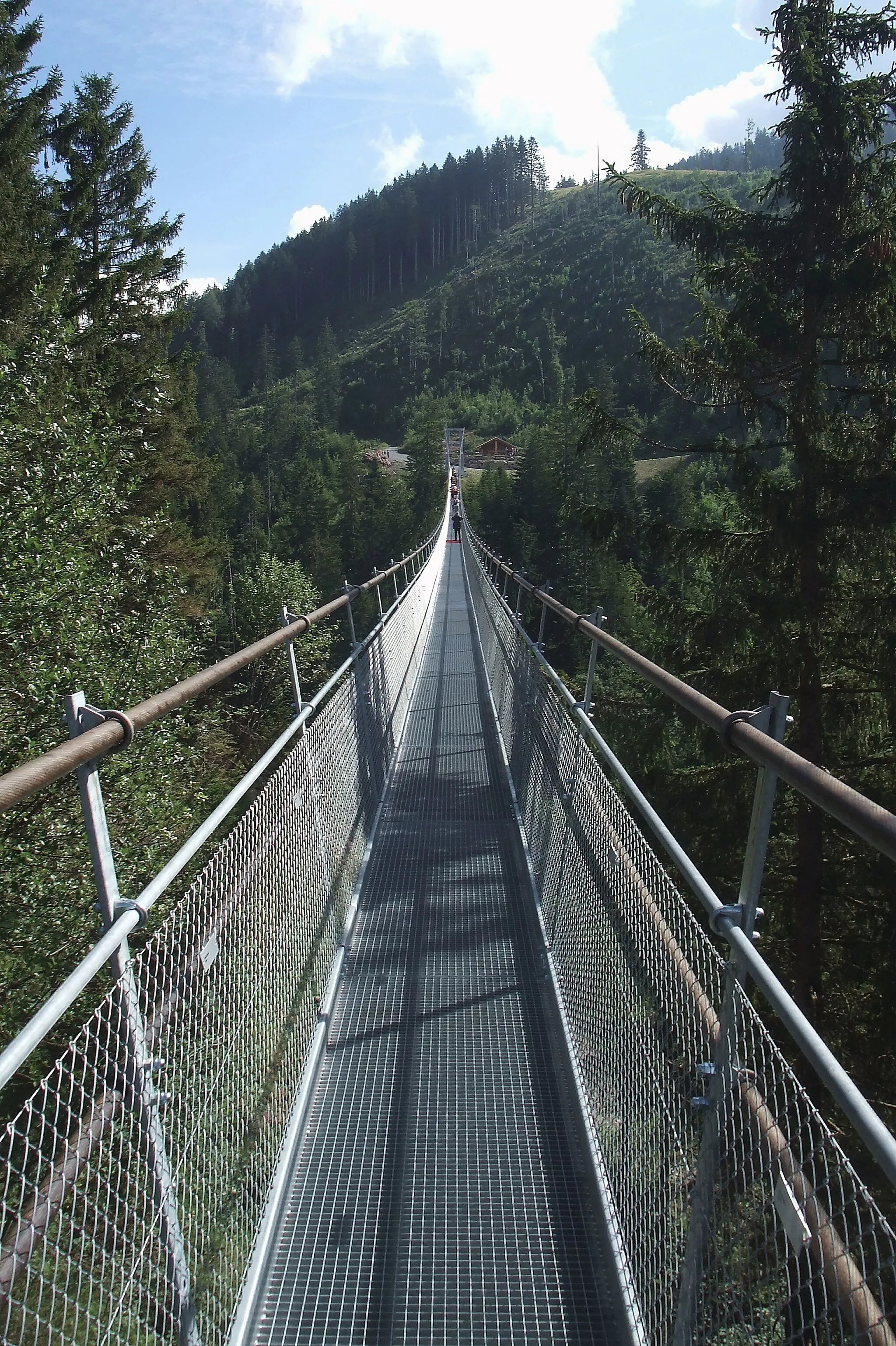 Photo showing: Swiss Suspension Bridge / On the longest suspension bridge for pedestrians outside of Asia with a length of 374 m (1227 ft). For a world record it was not enough. The bridge has a width of 90 cm (3 ft), and at both ends as entrance a width of 1.8 m (6 ft) for a short distance. Sattel SZ, Switzerland, August 4, 2010.