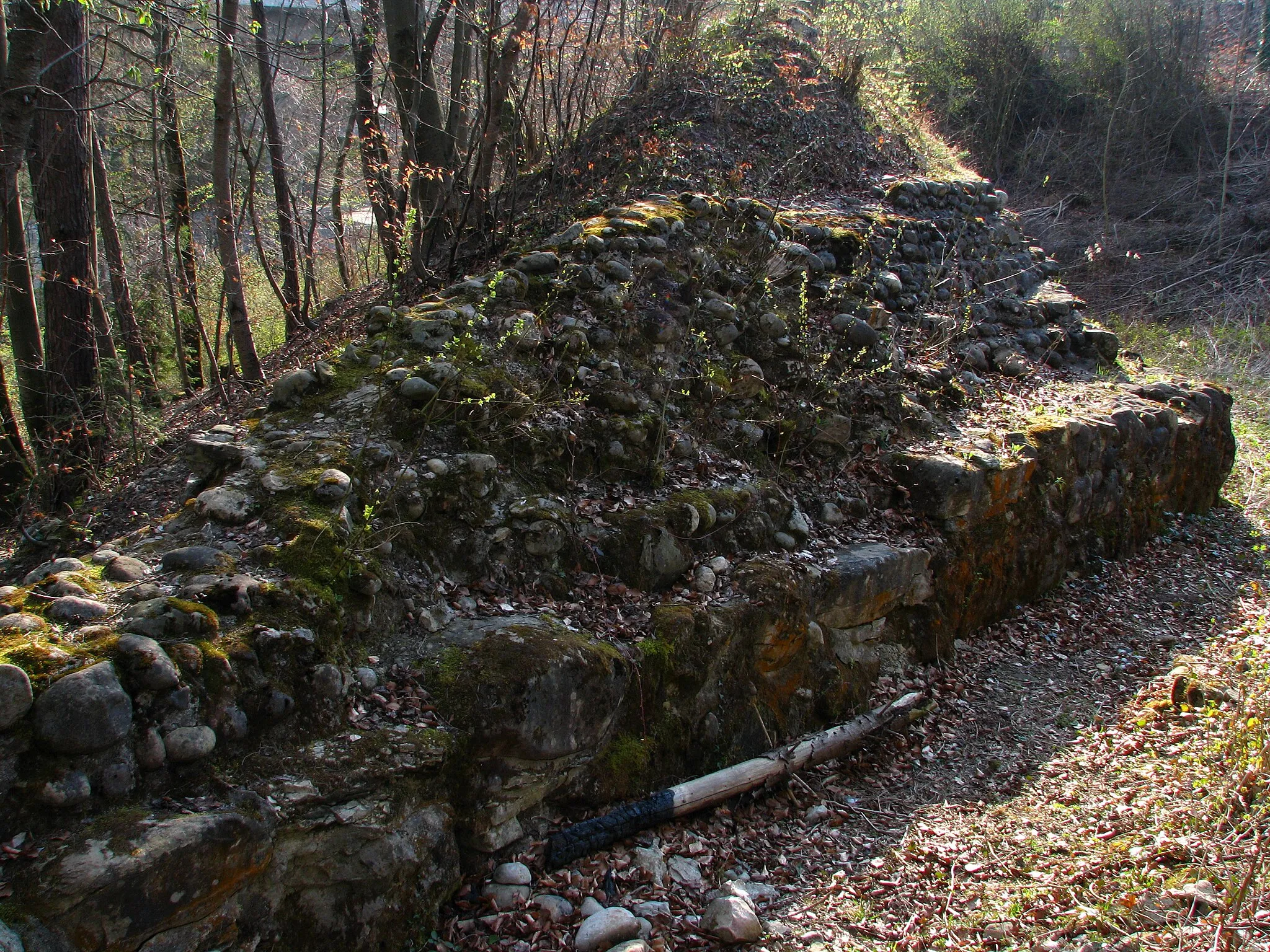 Photo showing: Schildmauer der Ruine Glanzenberg in Unterengstringen