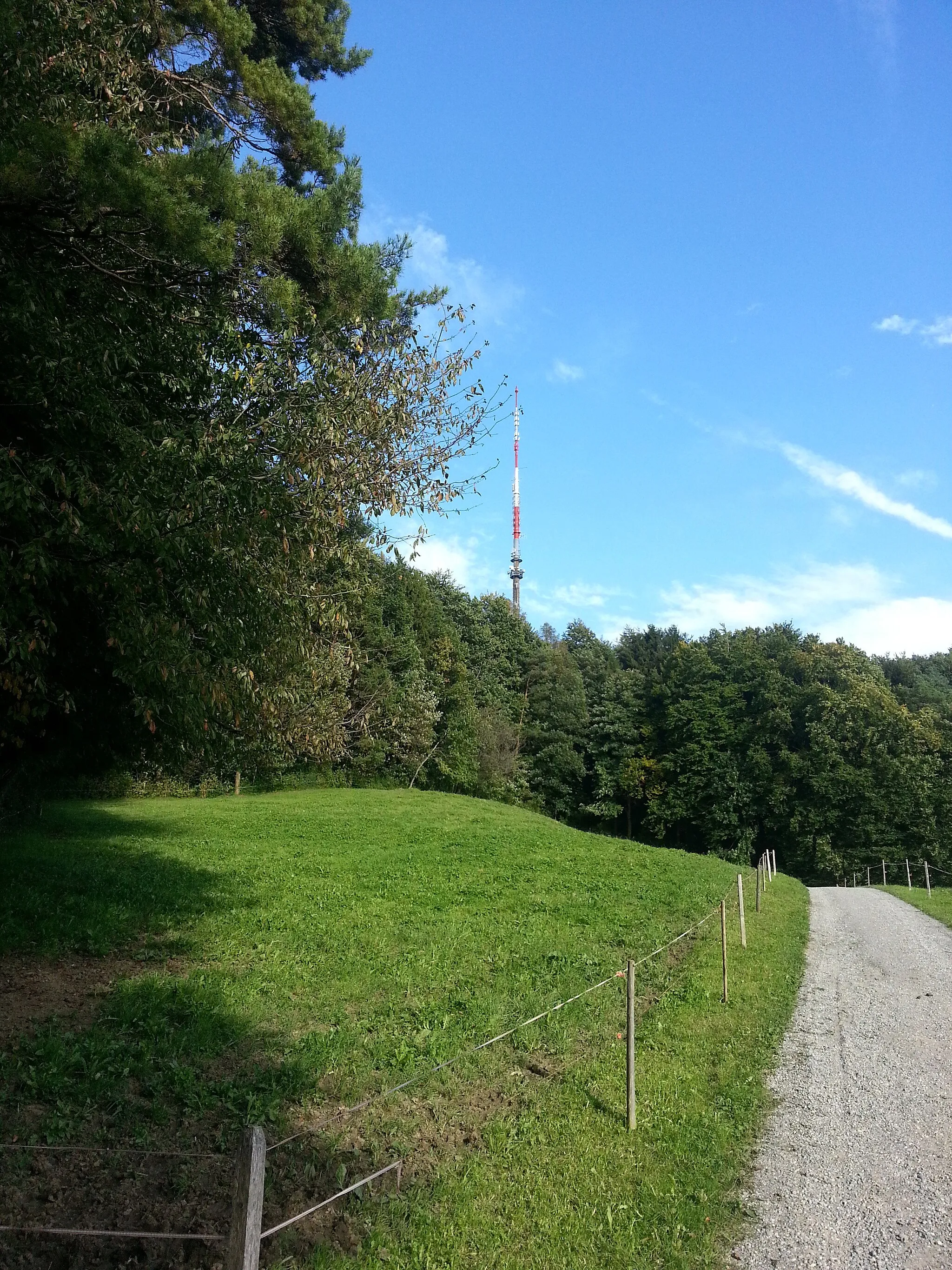 Photo showing: Brühlbergturm von Oberwil aus gesehen