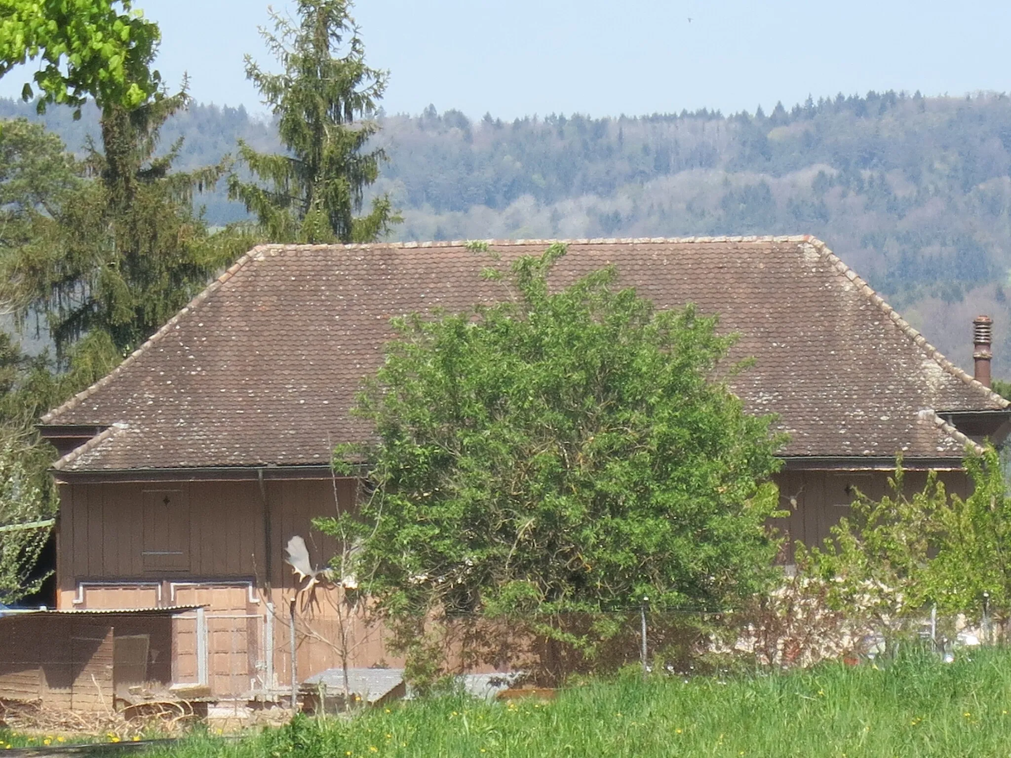 Photo showing: Zweidlen, Glattfelden ZH, Schweiz