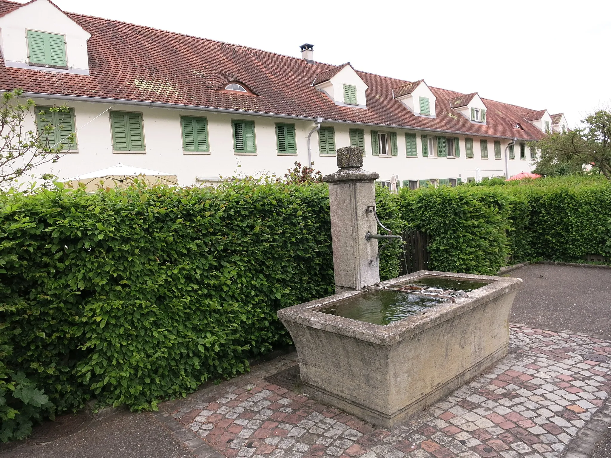 Photo showing: Schlossacher Rheinsfelden, Glattfelden ZH