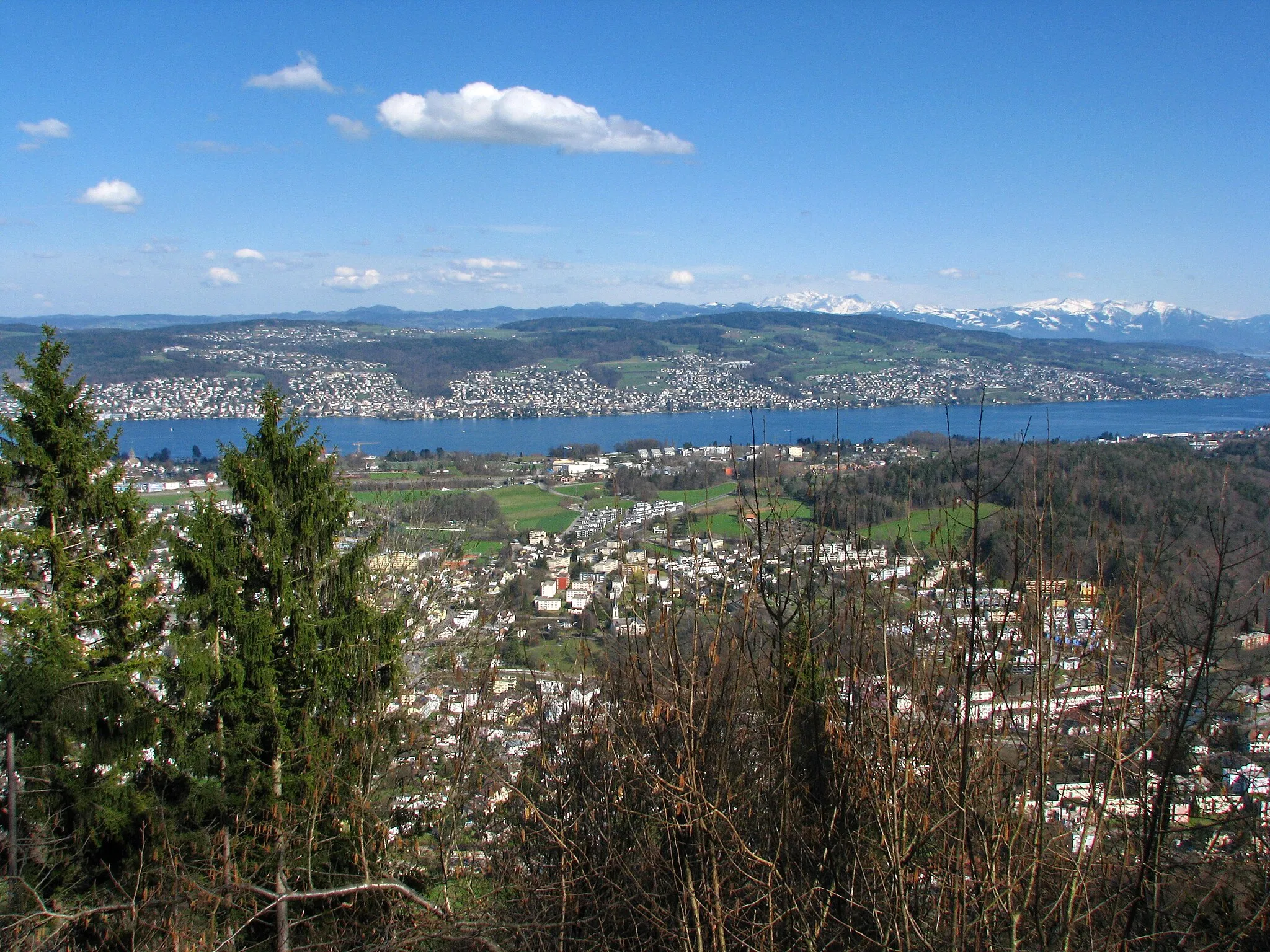 Photo showing: Sihl valley, Zimmerberg, Zürichsee, Küsnacht, Forch (to the left) and Pfannenstile in the background, as seen from Felsenegg.