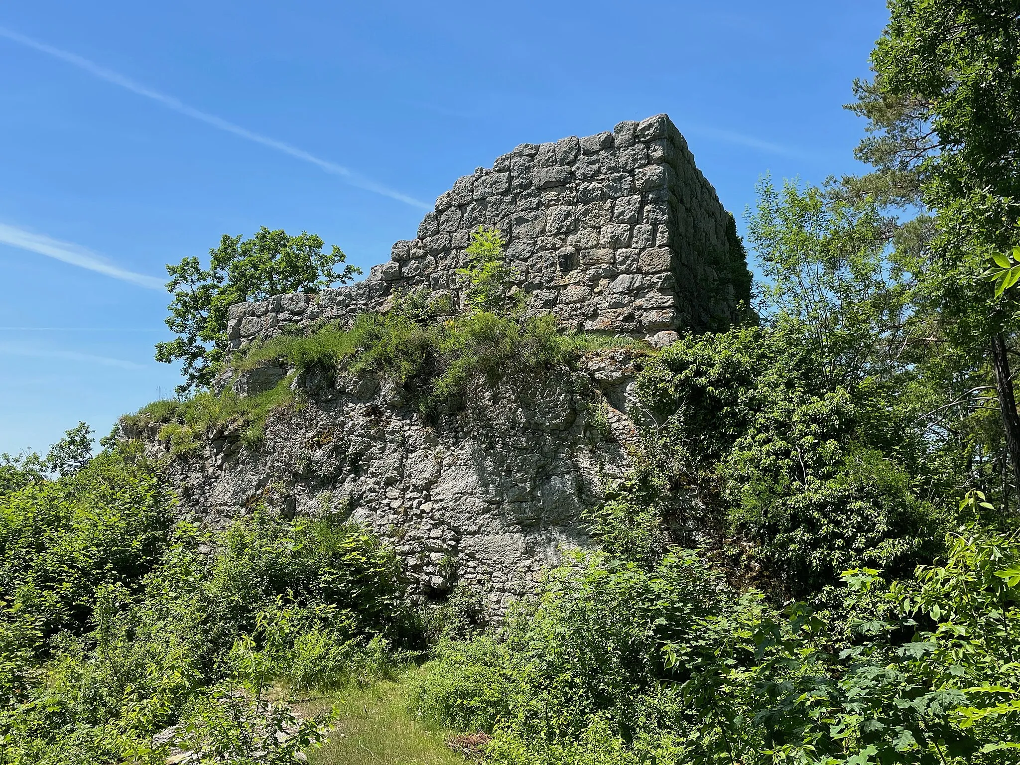 Photo showing: de:Ruine Radegg Ostseite