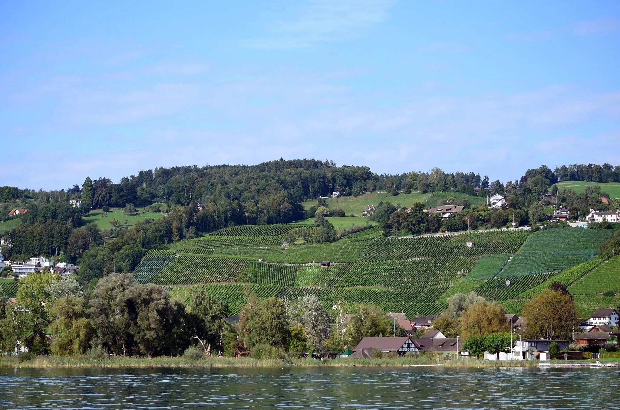 Photo showing: Männedorf as seen from Zürichsee-Schiffahrtsgesellschaft (ZSG) paddle steamer Stadt Rapperswil on Zürichsee in Switzerland