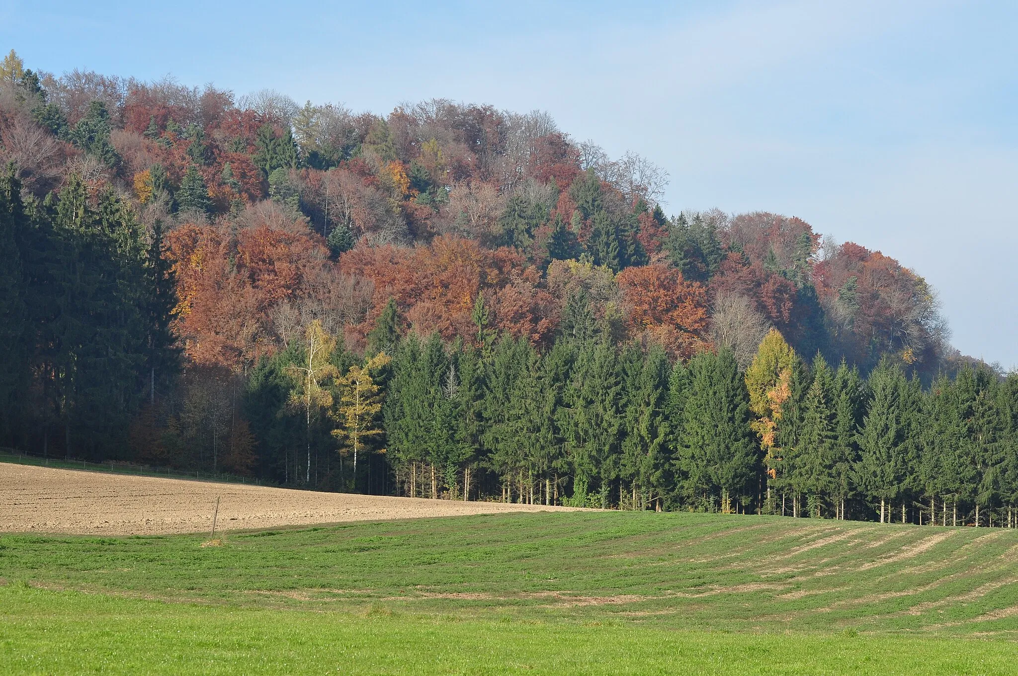 Photo showing: Weisslingen (Switzerland)