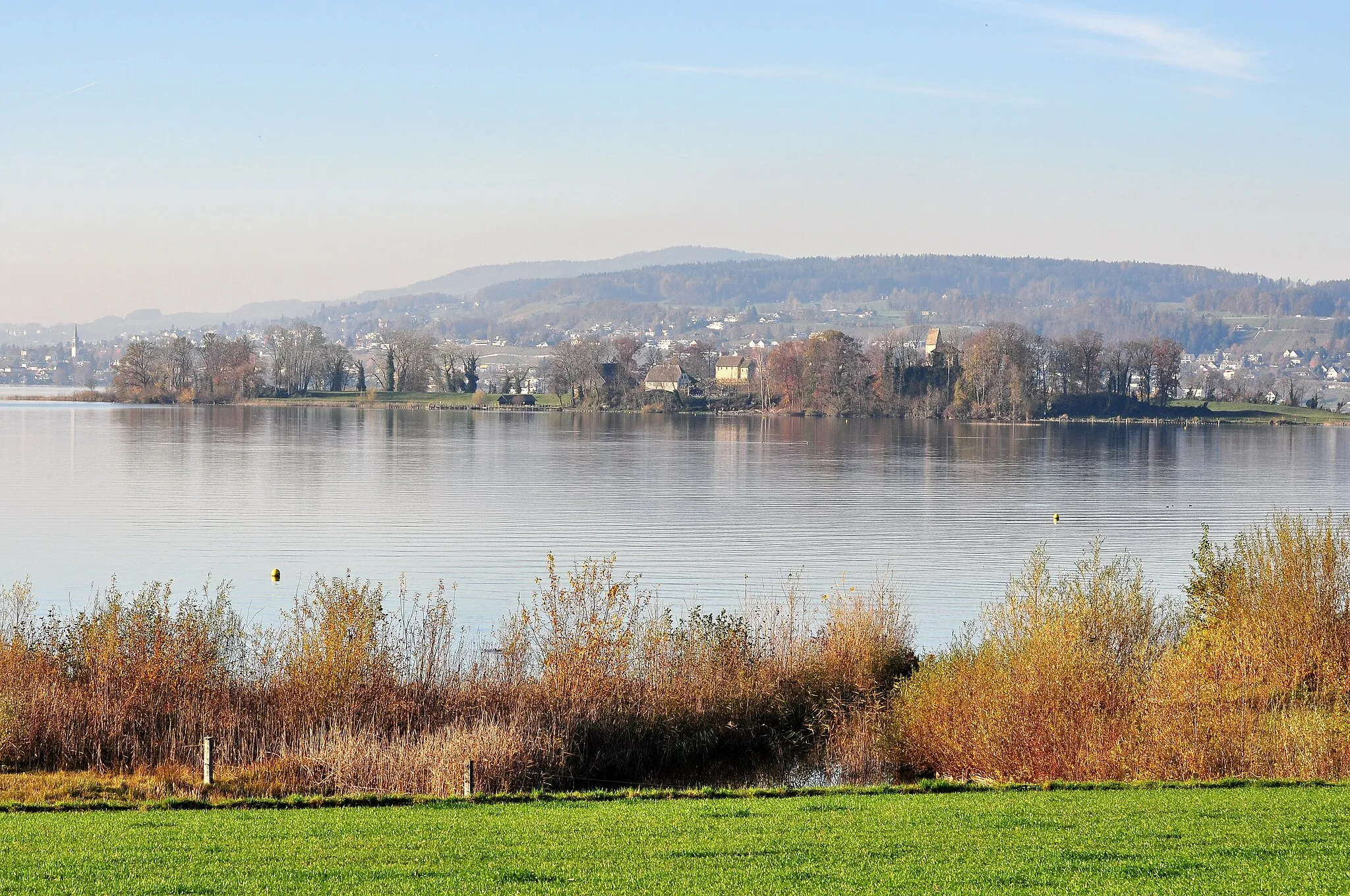 Photo showing: Frauenwinkel protected area on Zürichsee (Lake Zürich) in Switzerland, as seen from Seedamm, Ufenau island and Pfannenstiel in the background.