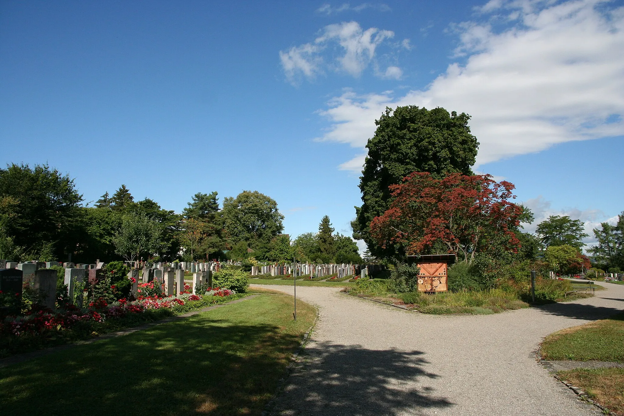 Photo showing: Friedhof Affoltern in Zürich