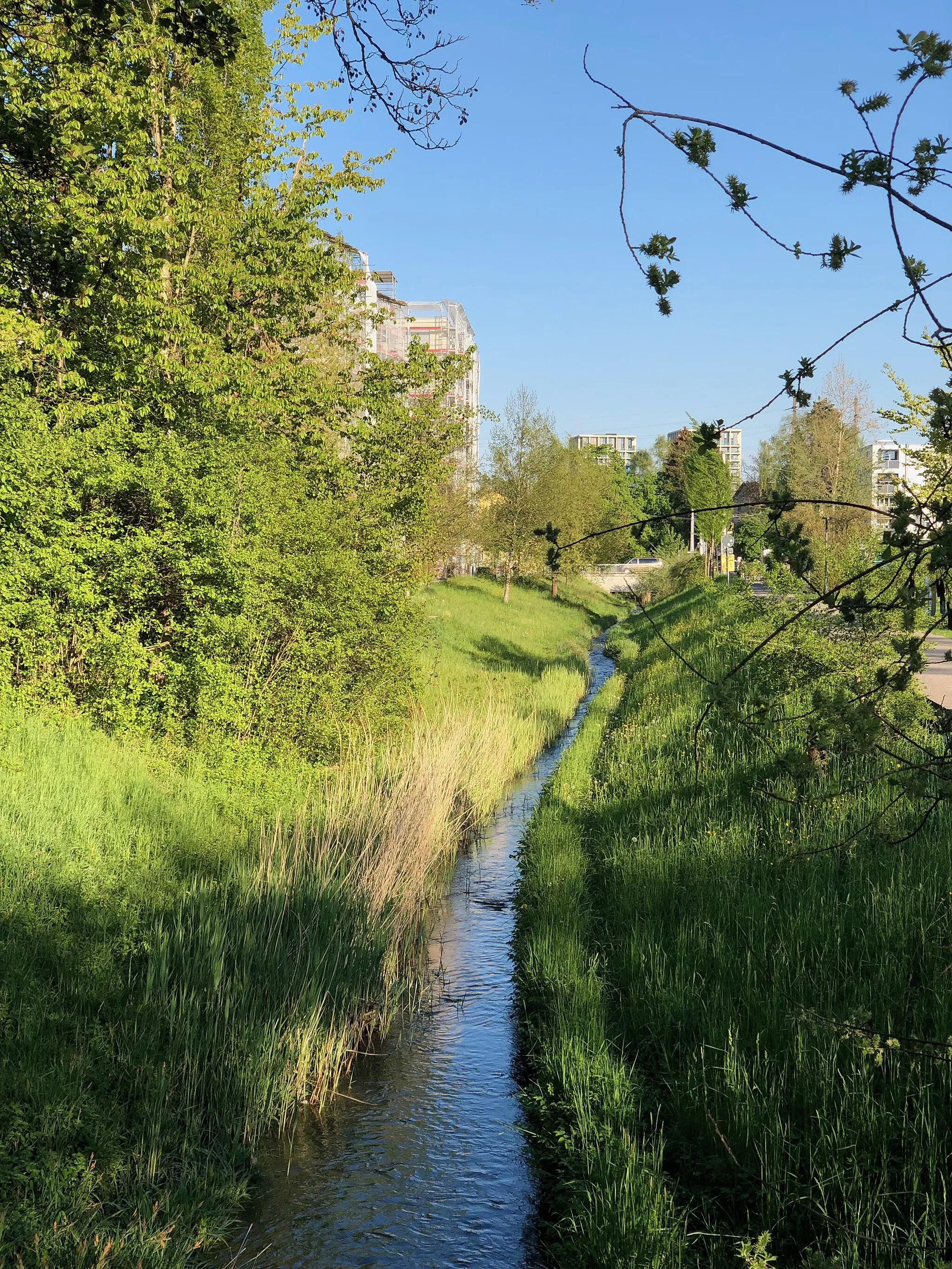 Photo showing: Katzenbach bei Zürich-Seebach, Schweiz, in der Mai-Abendsonne