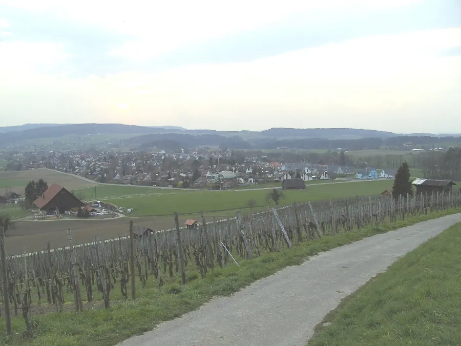 Photo showing: Das Dorf Hettlingen ZH im Zürcher Weinland