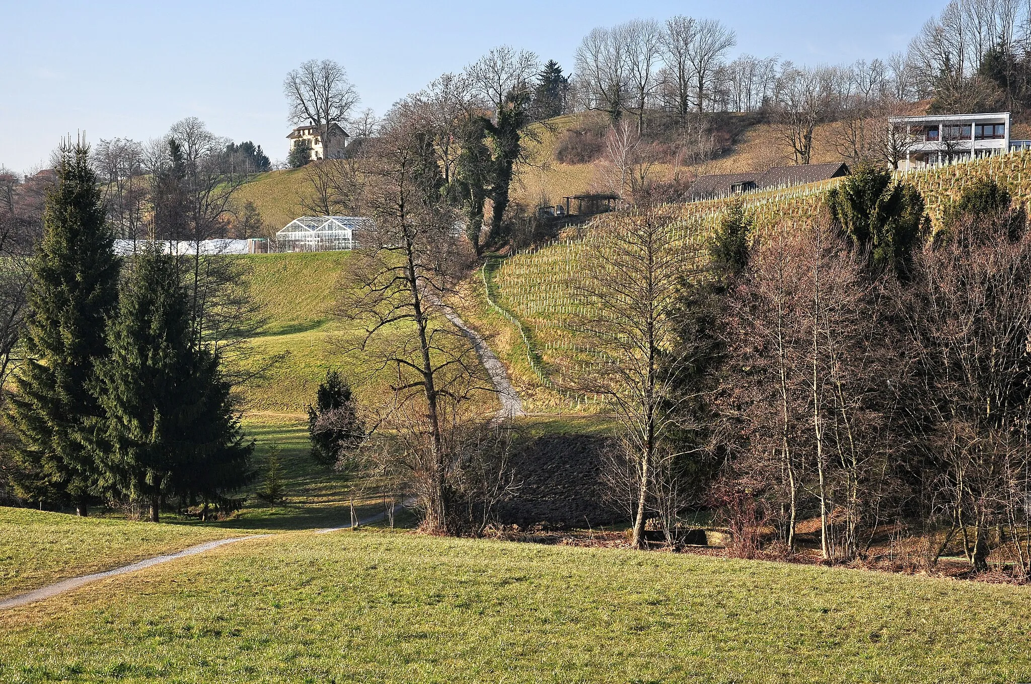 Photo showing: Balm in Jona respectively Rapperswil-Jona (Switzerland)