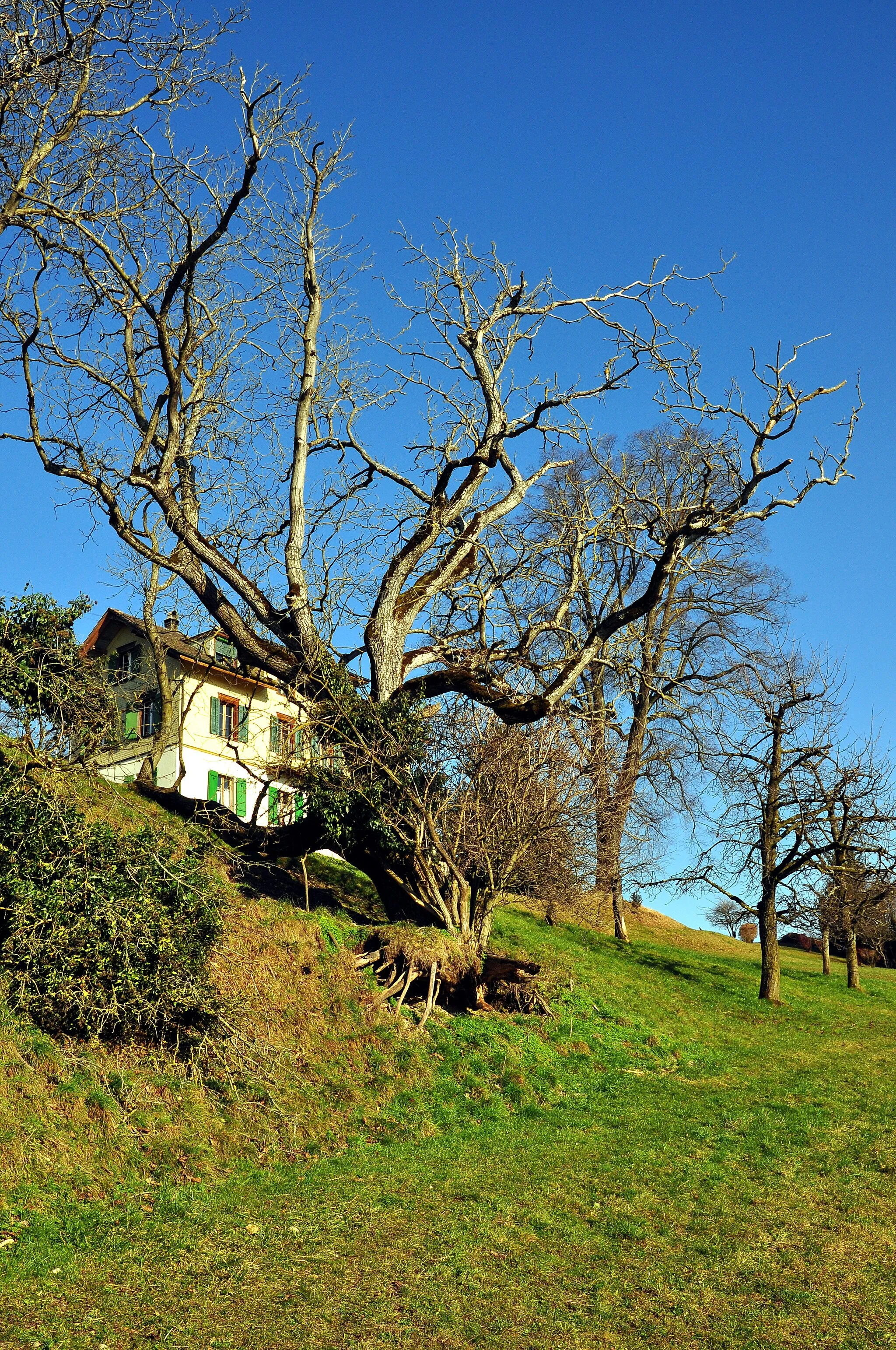 Photo showing: Schwösterrain nearby Balm in Jona respectively Rapperswil-Jona (Switzerland)