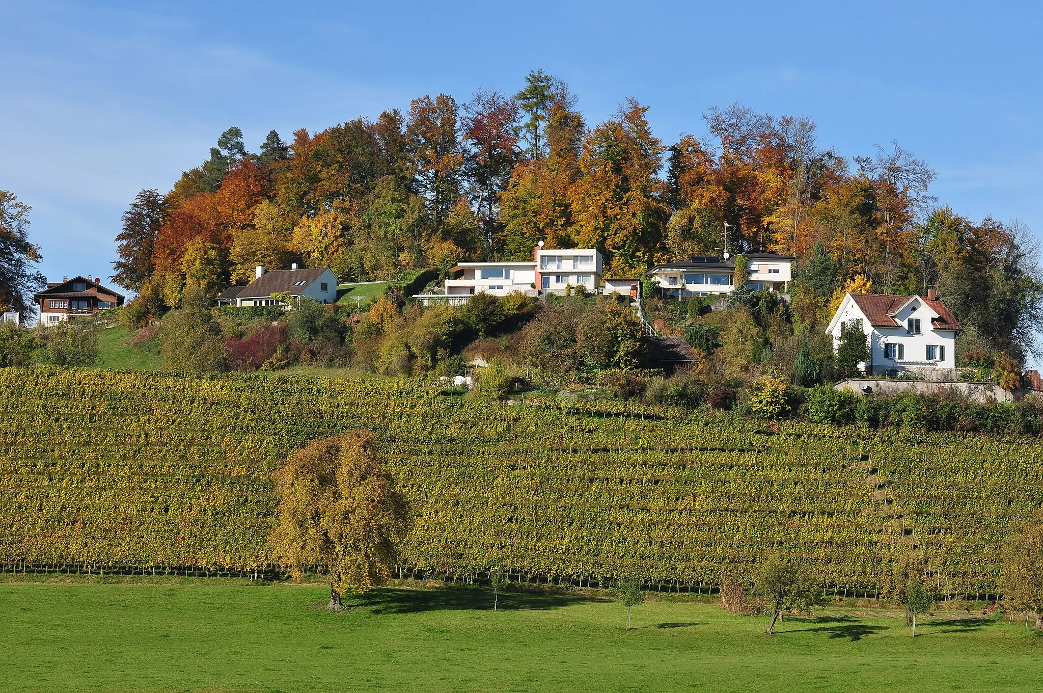 Photo showing: Rüssel nearby Kempraten-Lenggis in Rapperswil-Jona (Switzerland)