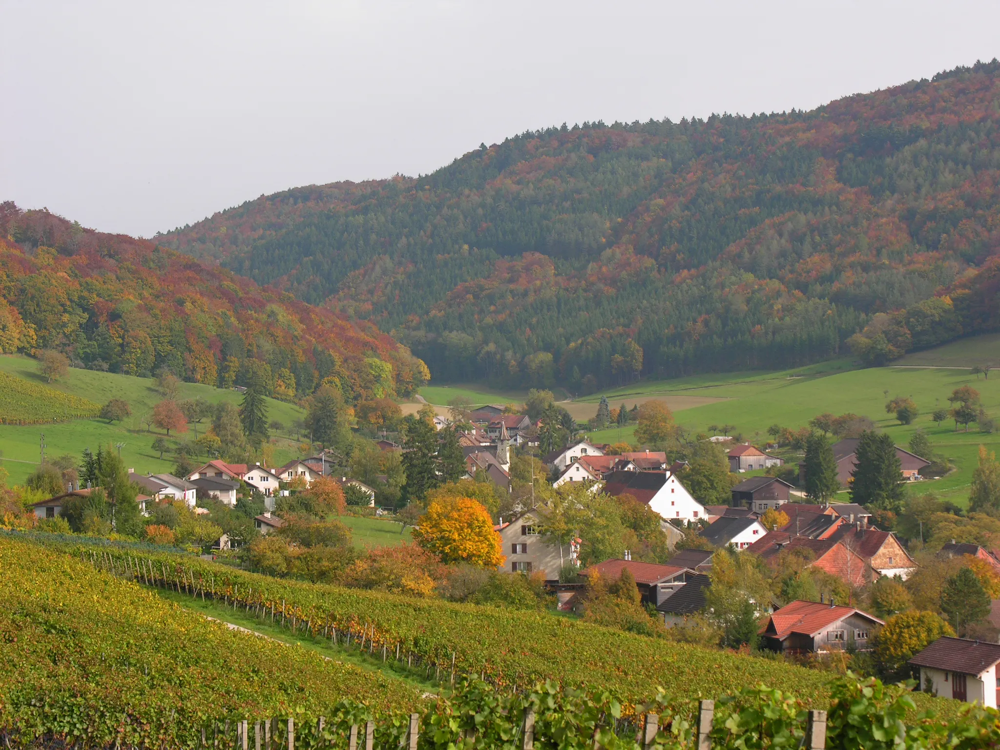 Photo showing: Switzerland, Canton of Schaffhausen, Osterfingen