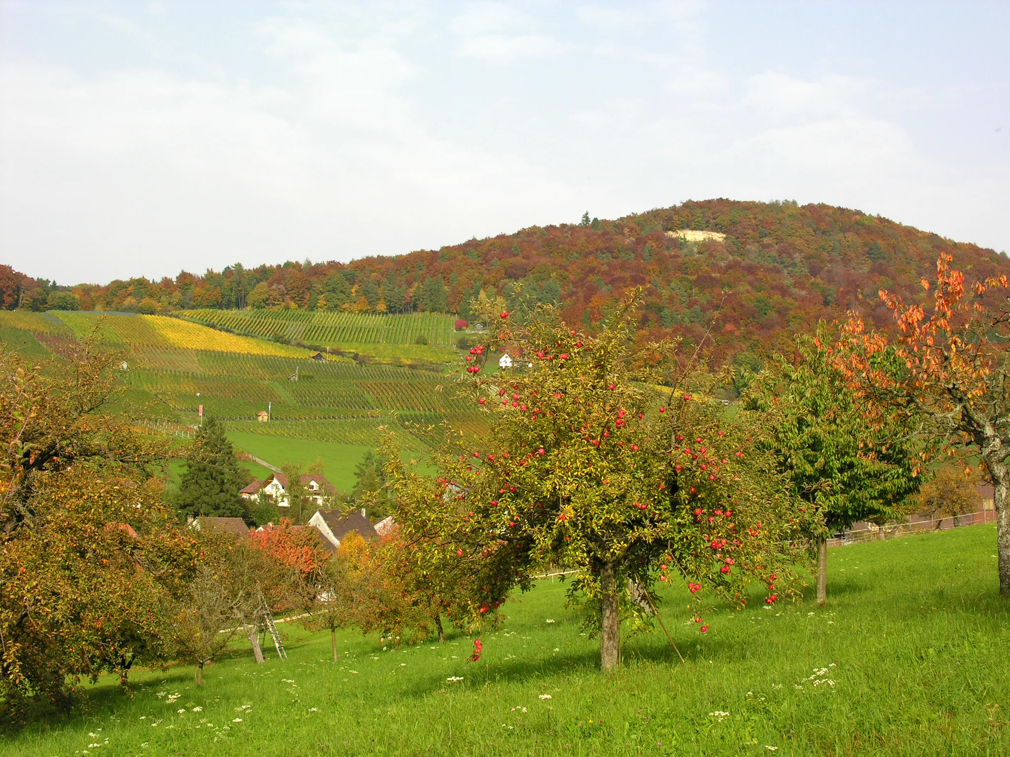 Photo showing: Switzerland, Canton of Schaffhausen, Osterfingen