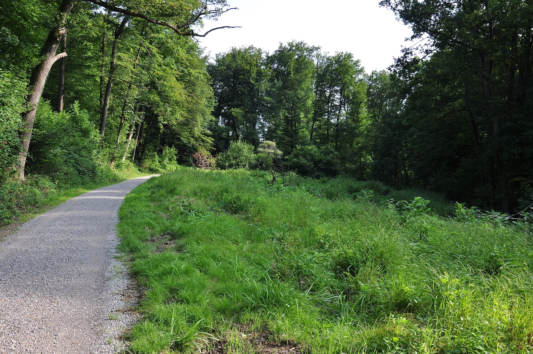 Photo showing: Elefantenbach (Stöckentobelbach) in Zürich-Hirslanden (Switzerland)