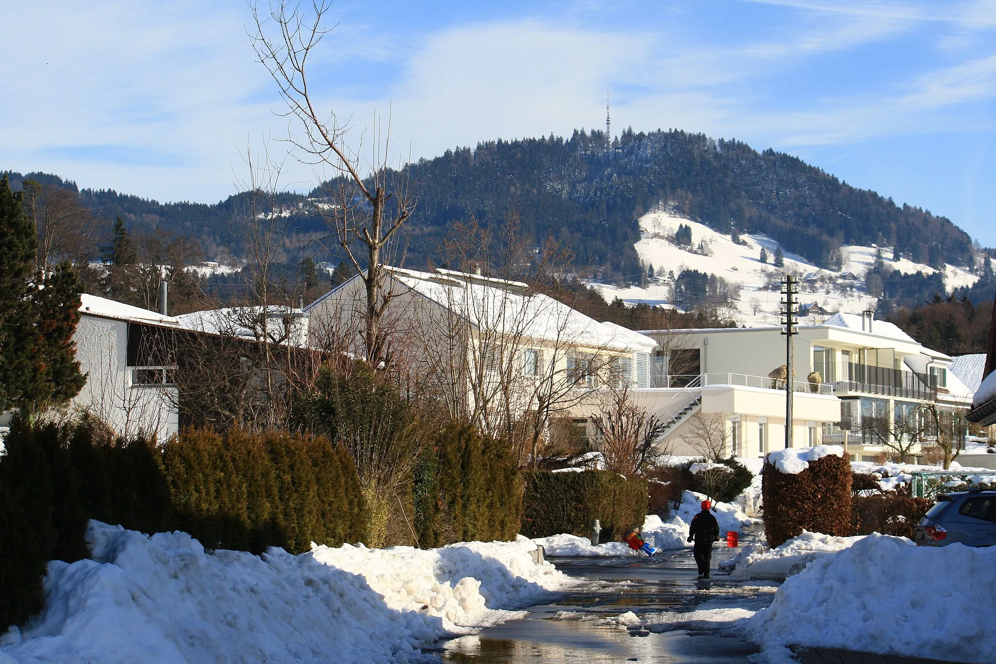 Photo showing: Bachtel as seen from Benklenstrasse in Hinwil (Switzerland)