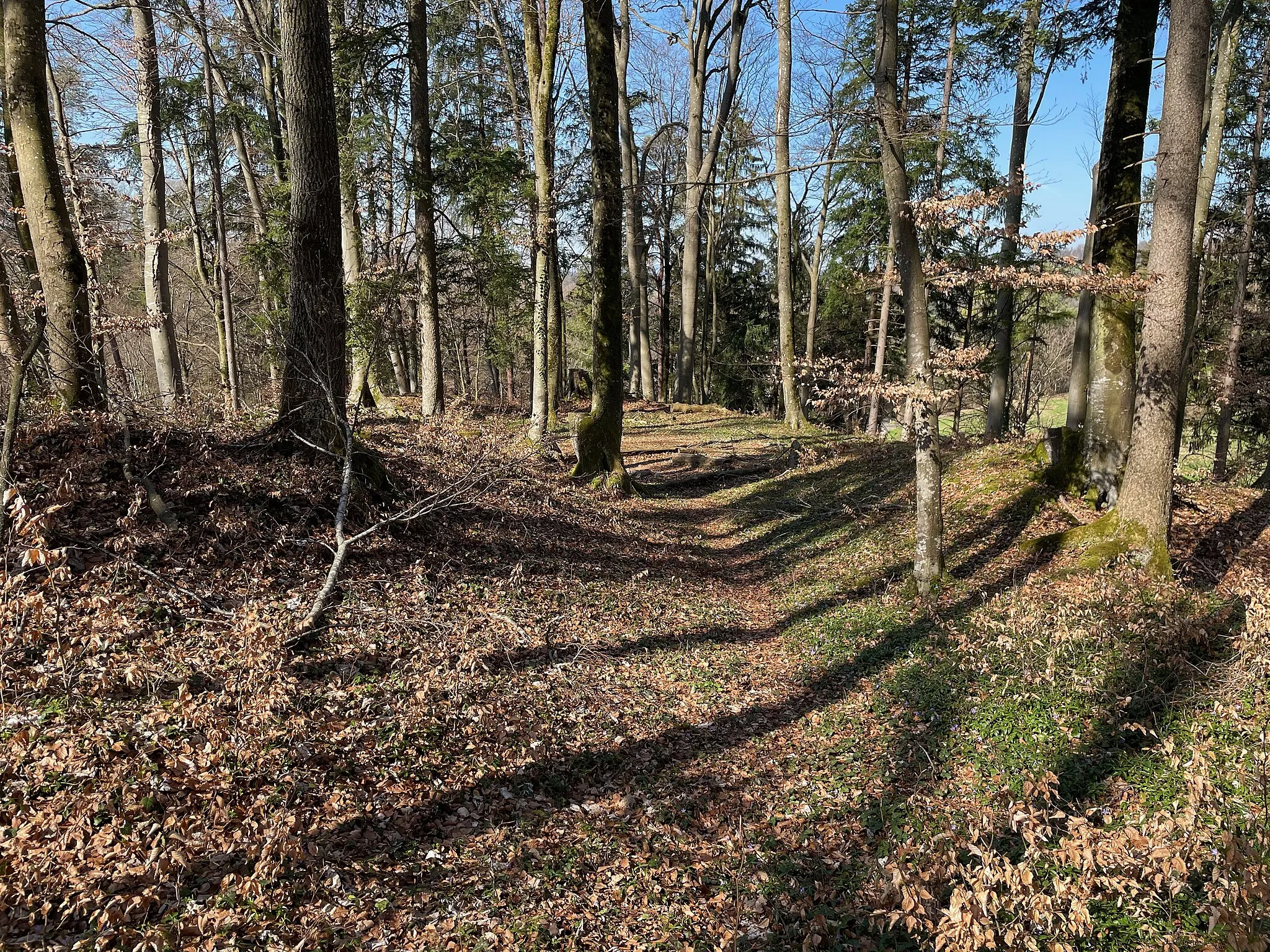 Photo showing: de:Ruine Wagenburg (Oberembrach) Plateau nach W