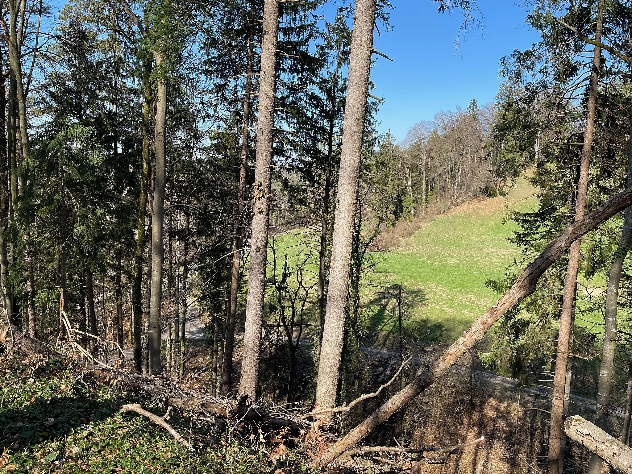 Photo showing: de:Ruine Wagenburg (Oberembrach) Ausblick nach NW