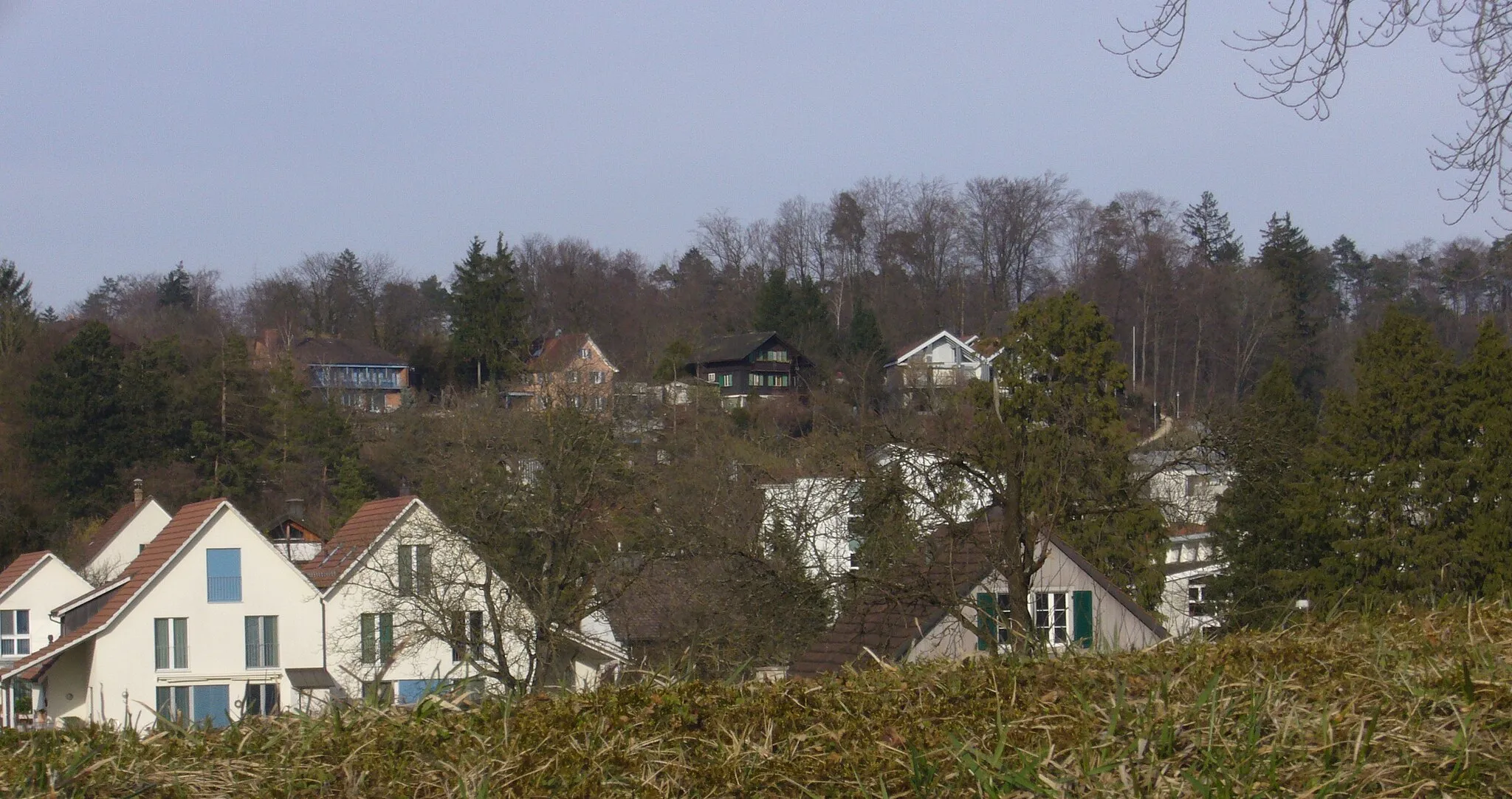 Photo showing: Blick vom Hasenbühl gen das Gsteitli.