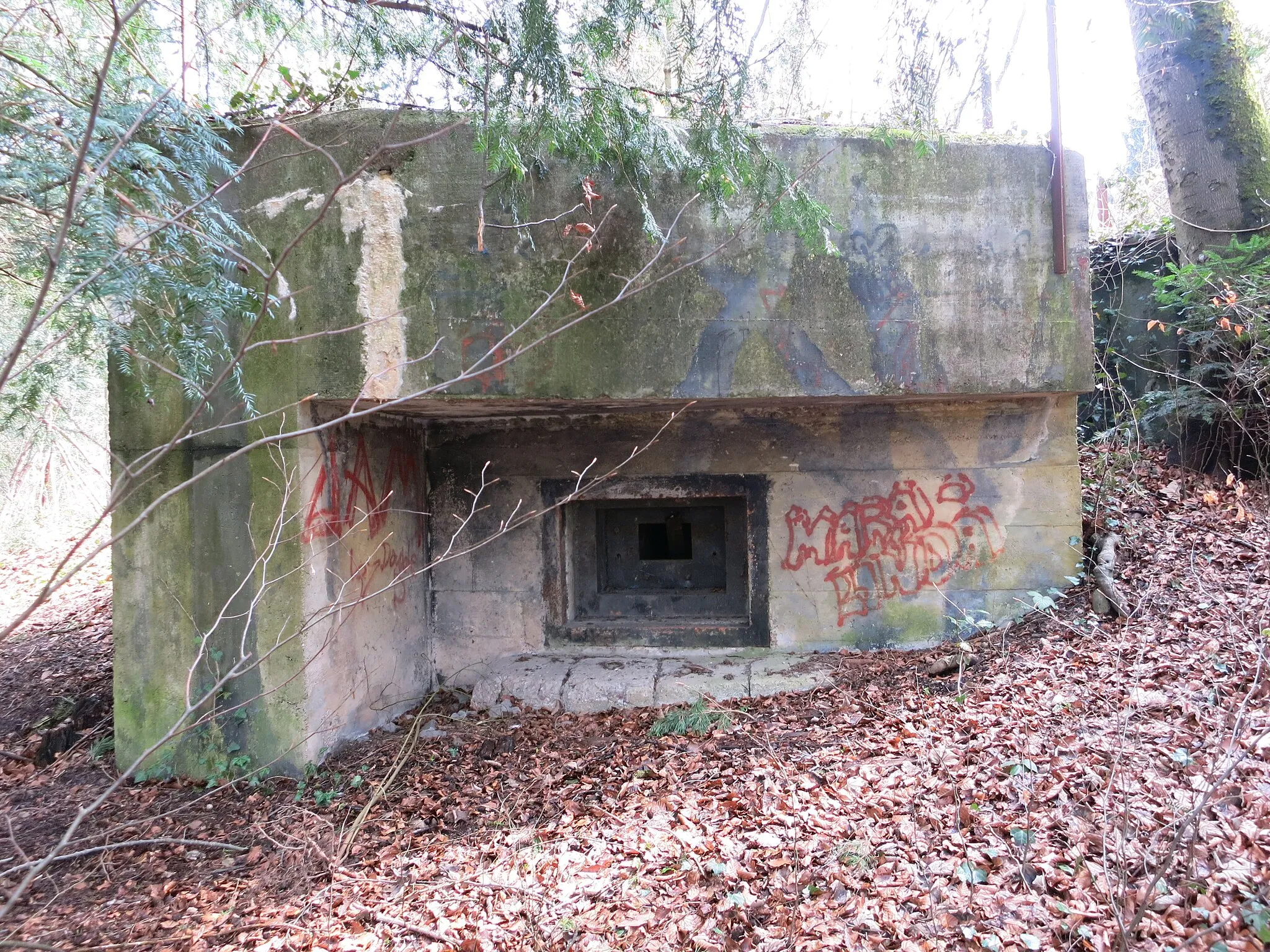 Photo showing: Bunker Entlisberg, Zürich-Wollishofen, Schweiz