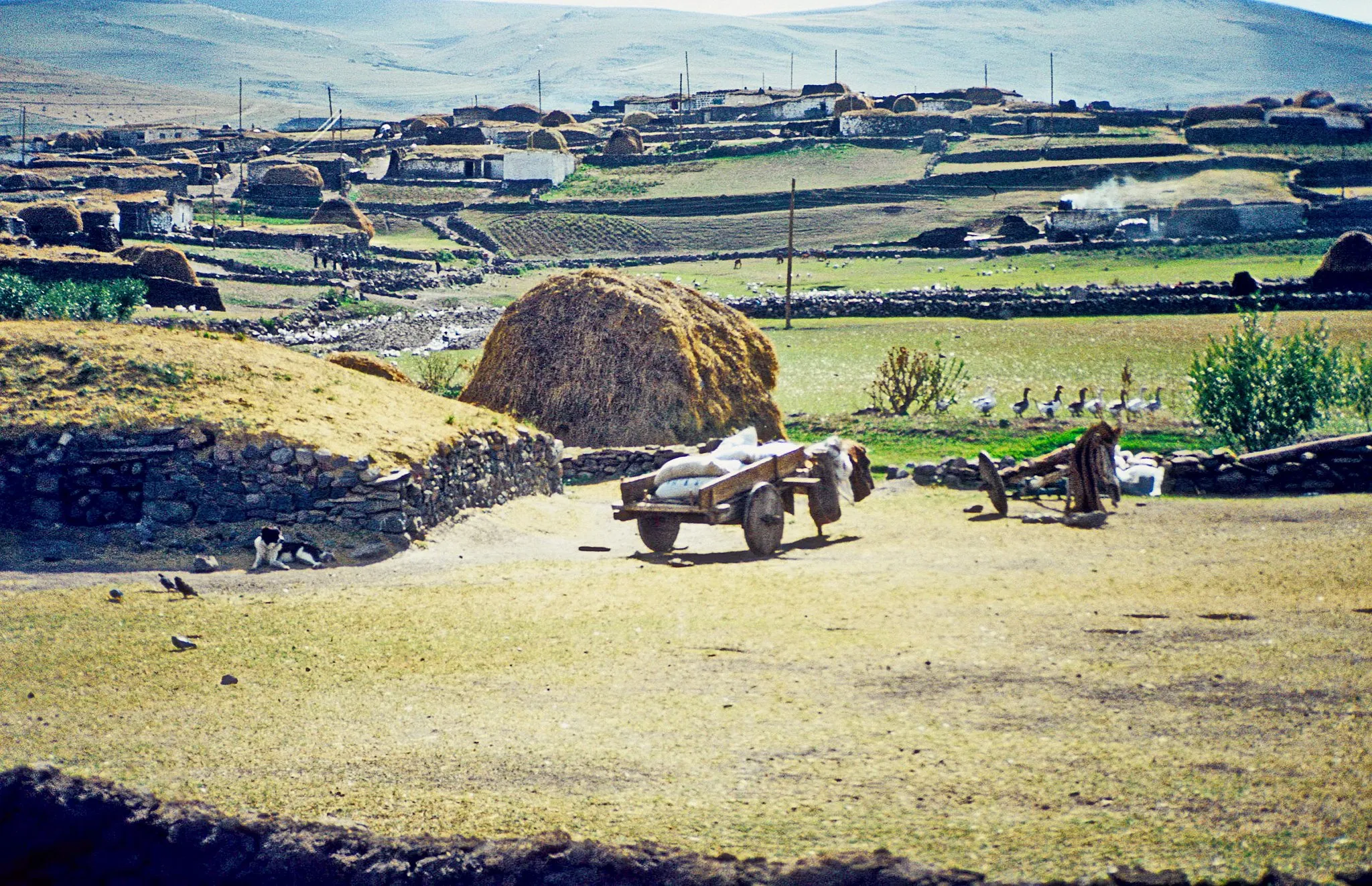 Photo showing: Das Bild zeigt ein typisches Dorf auf den Höhen der Ardahan Yaylası bei Hasköy (Provinz Ardahan) mit seinen geduckten, aus Basaltbrocken errichteten Bauten und Mäuerchen sowie den obligatorischen Winterfutter-Heuhaufen bei jedem Gehöft und den bisweilen noch gebräuchlichen traditionellen Scheibenradwagen („anatolische Nachtigal“) im Vordergrund.