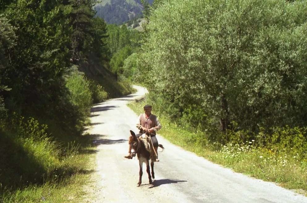 Photo showing: Kadınlar Çayırı Yolu, Ilgaz