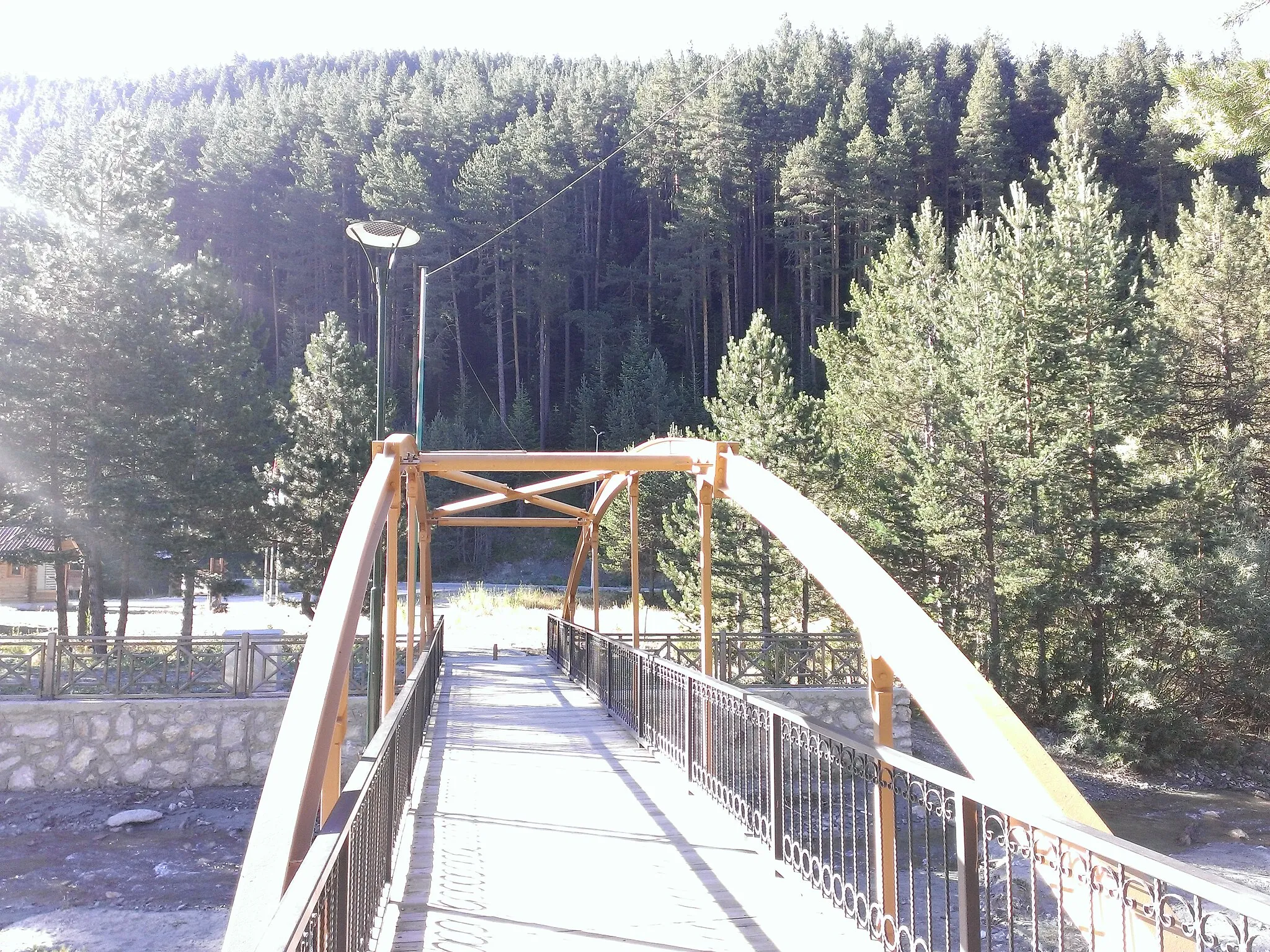 Photo showing: köprüden orman manzarası