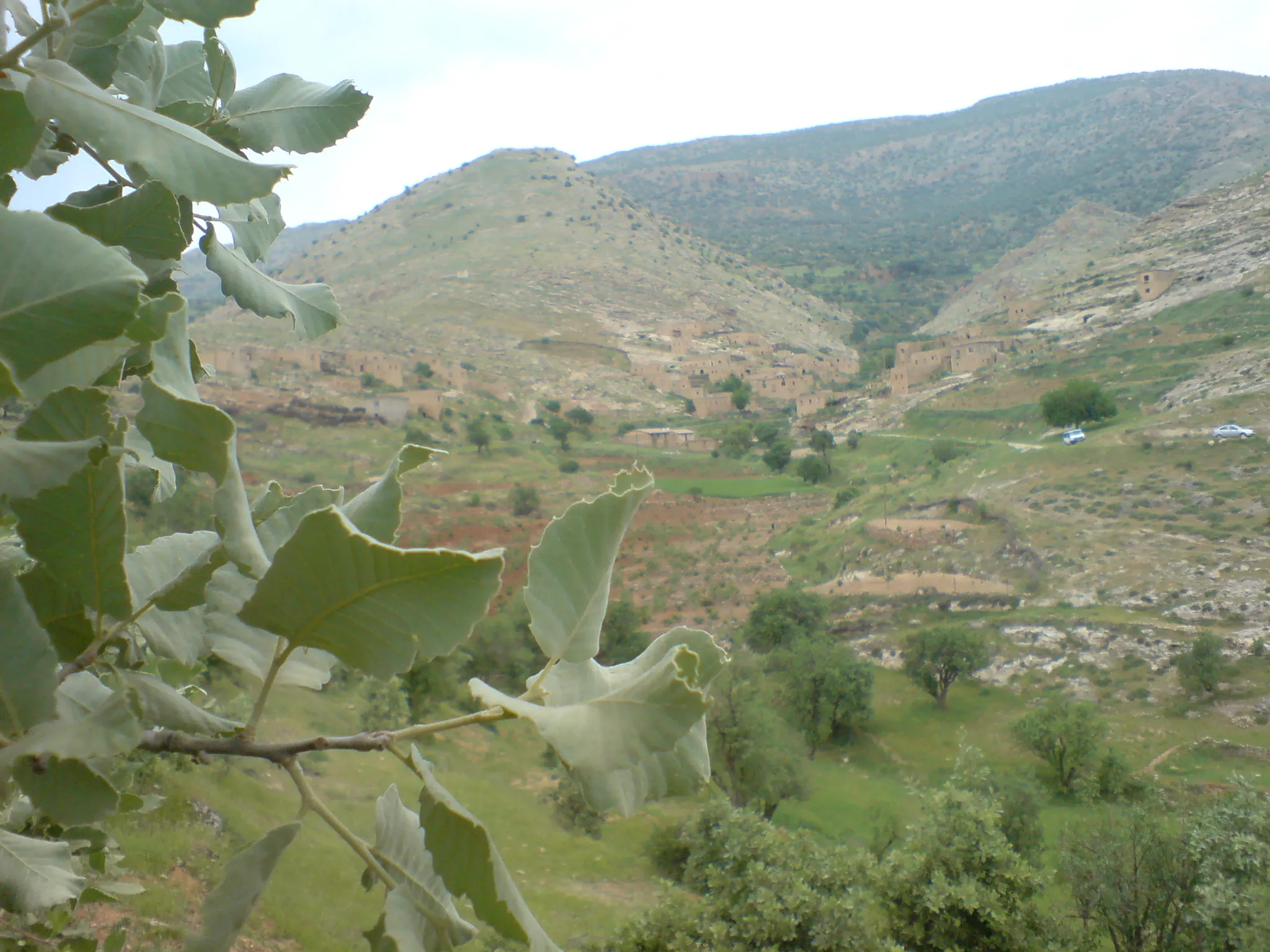 Photo showing: Ezdaralı nezir