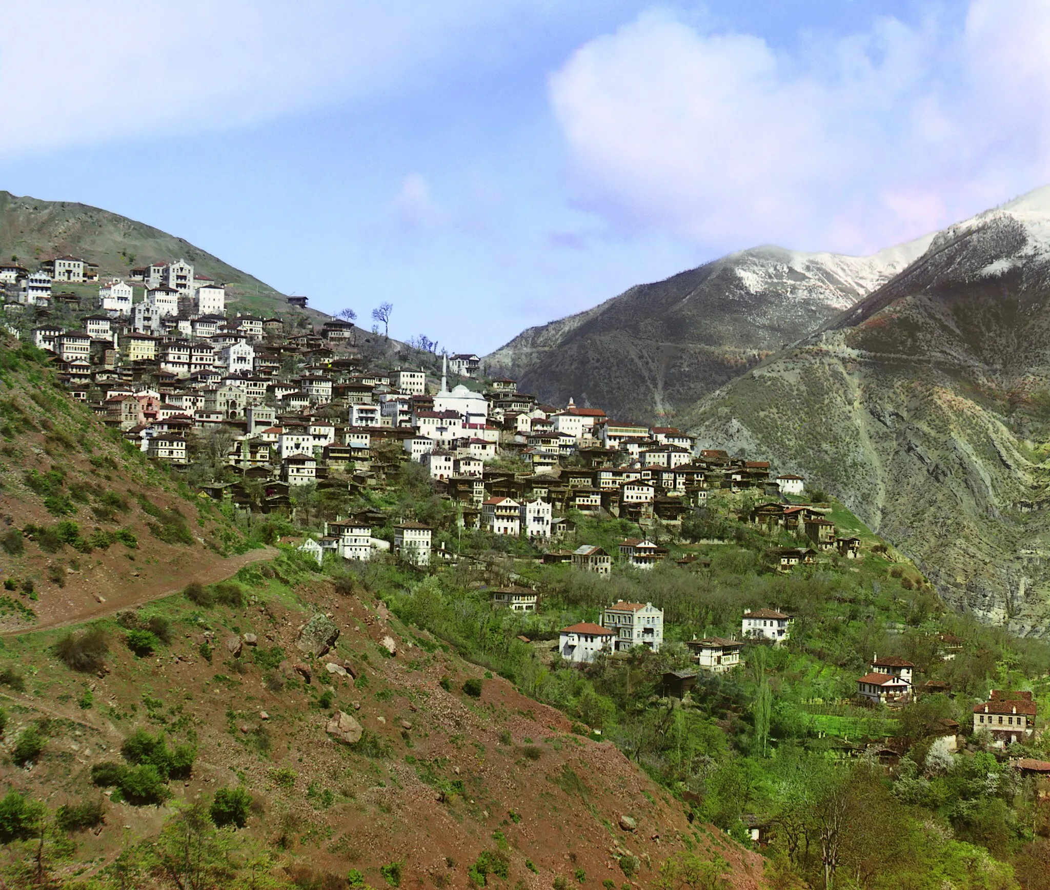Photo showing: Original Description: General view of Artvin from the small town of Svet.