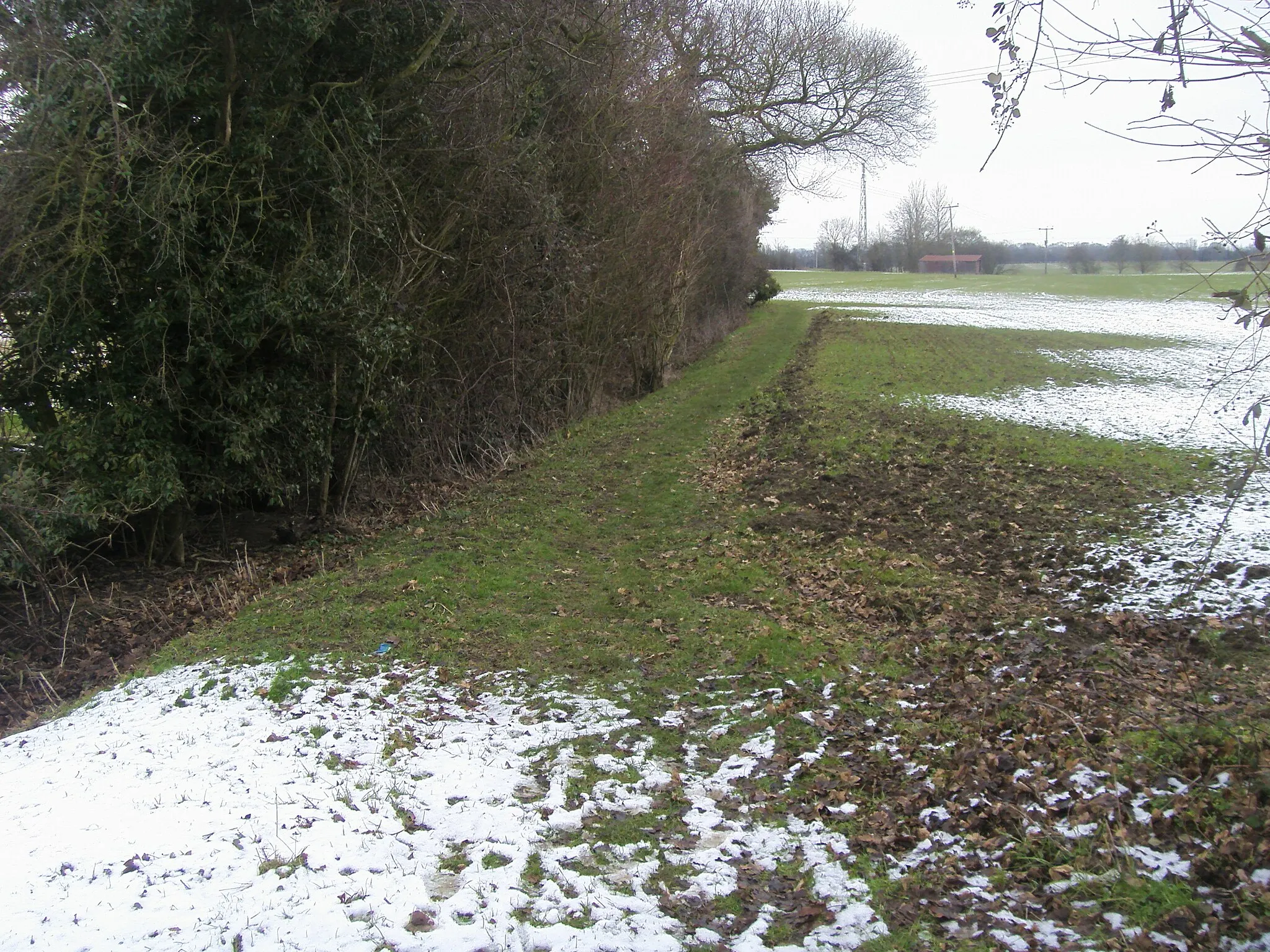 Photo showing: Bridleway to Honeydon Bridleway to Honeydon From The City