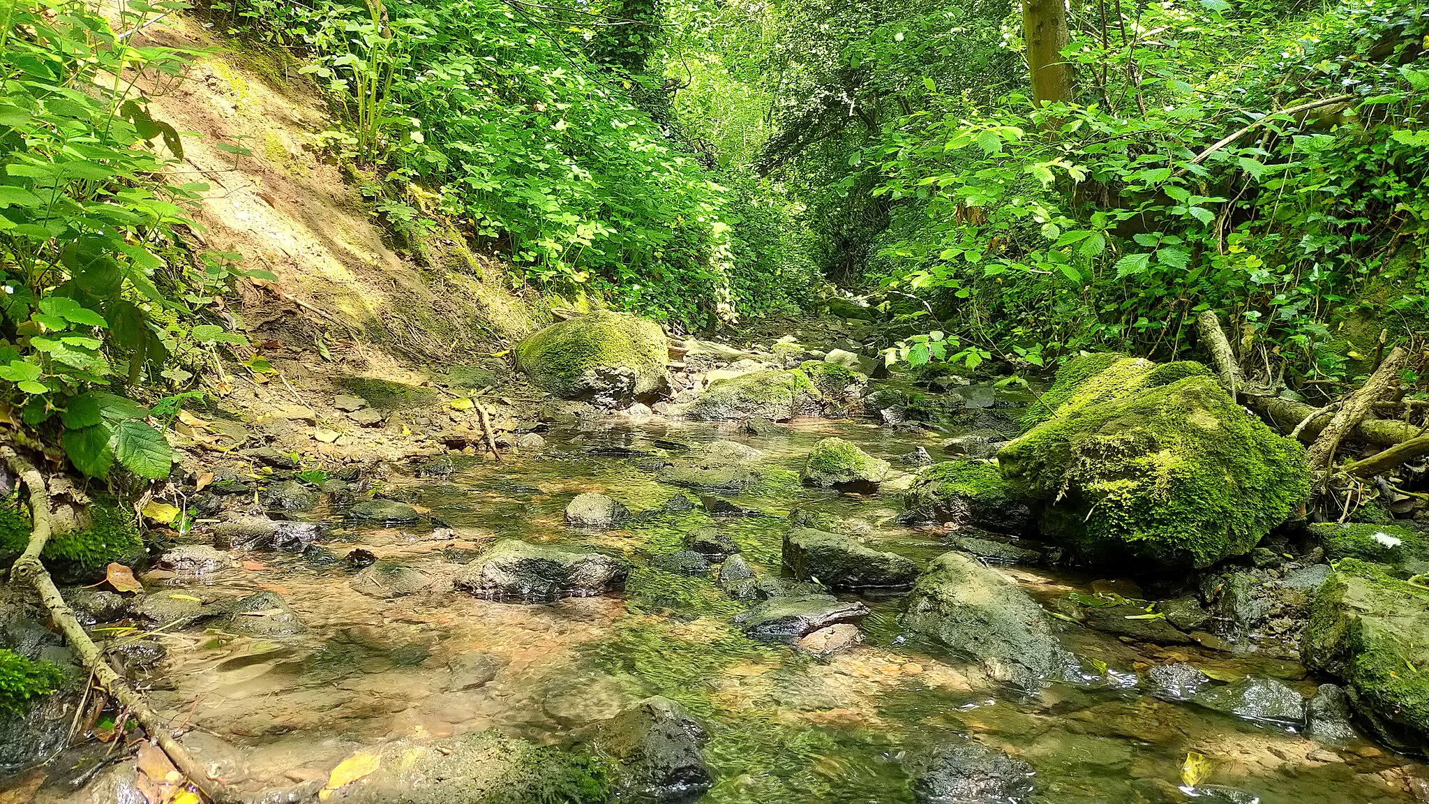 Photo showing: Finedon's "Town Brook" flowing over a stone bed in The Grove, south west of the town.