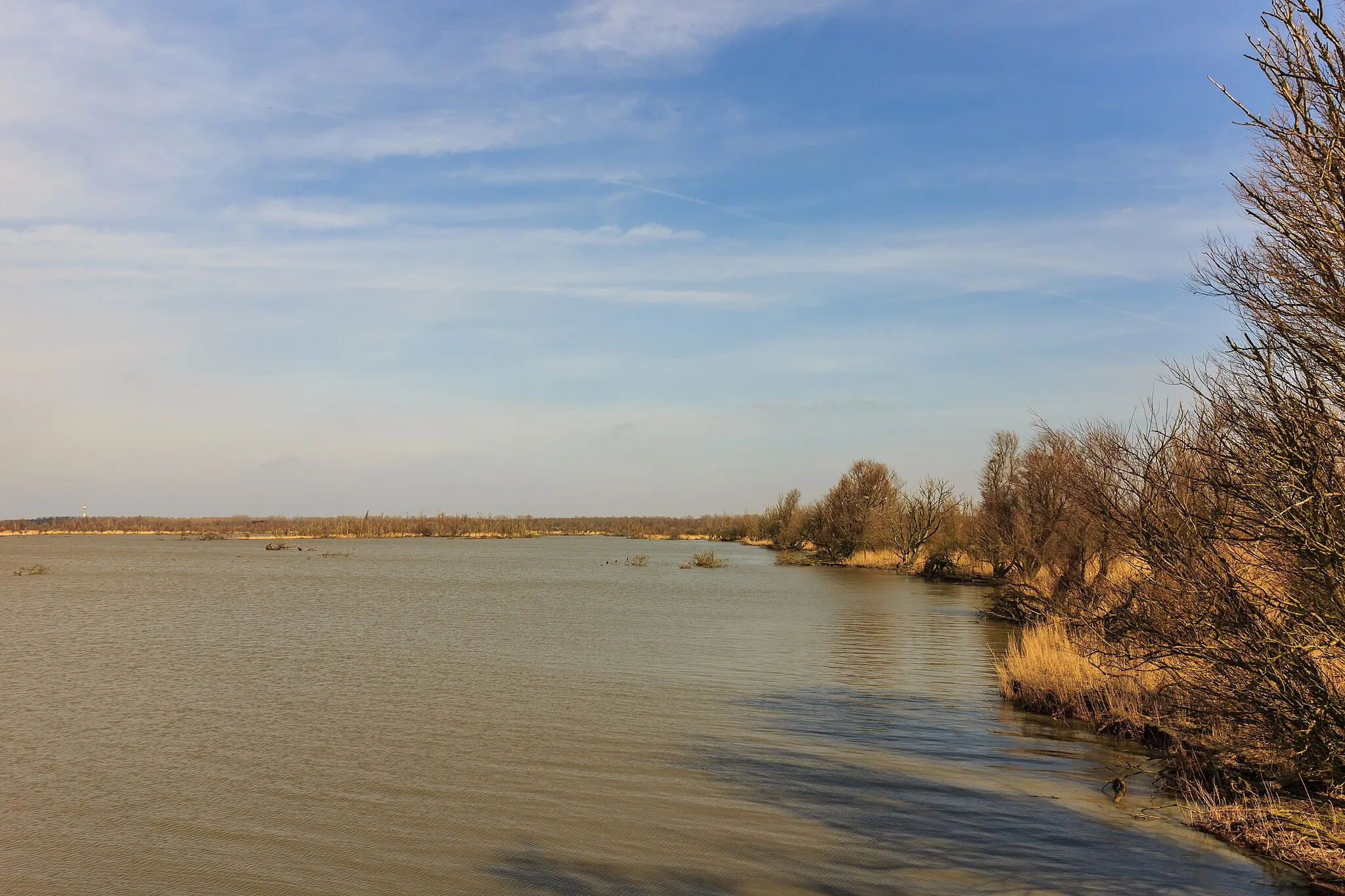 Photo showing: View from Bird observation De Schollevaar. Location, Oostvaardersplassen in the Netherlands.