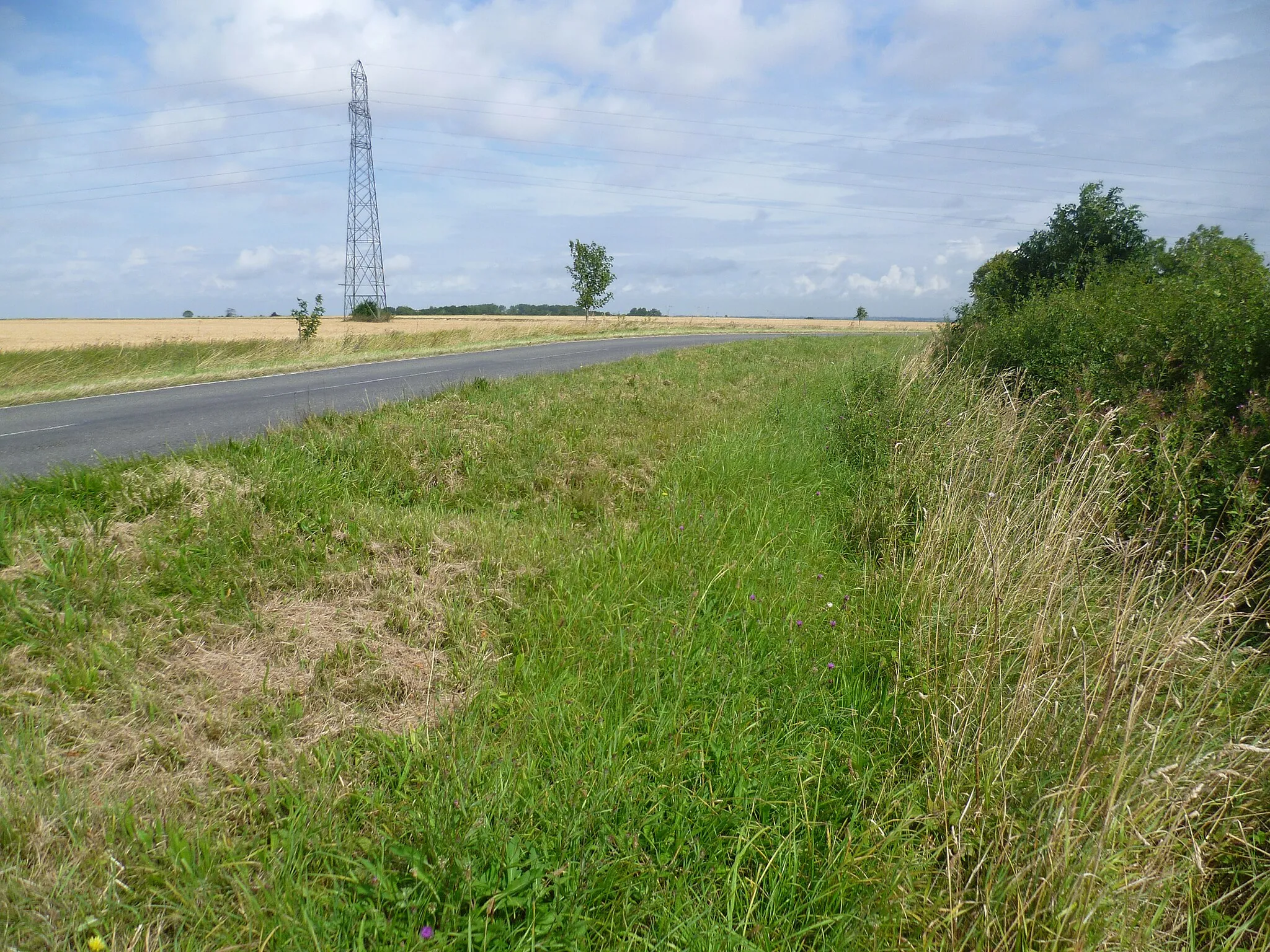 Photo showing: A pylon next to the road to Elsworth