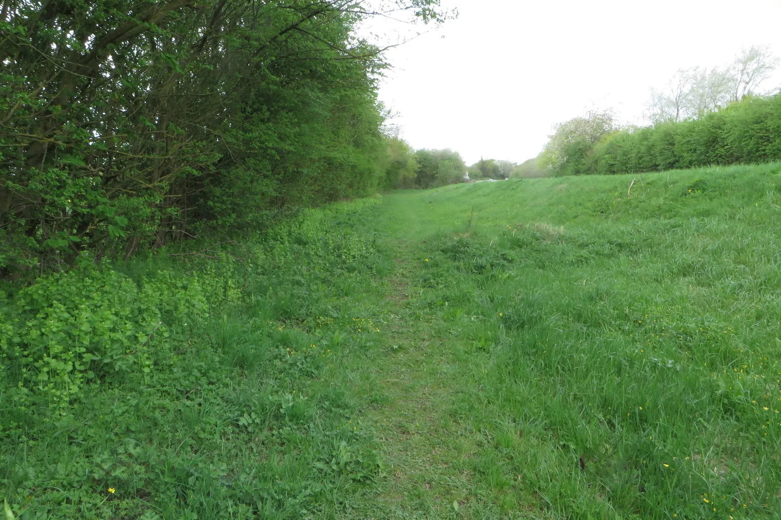 Photo showing: Footpath to Wollaston