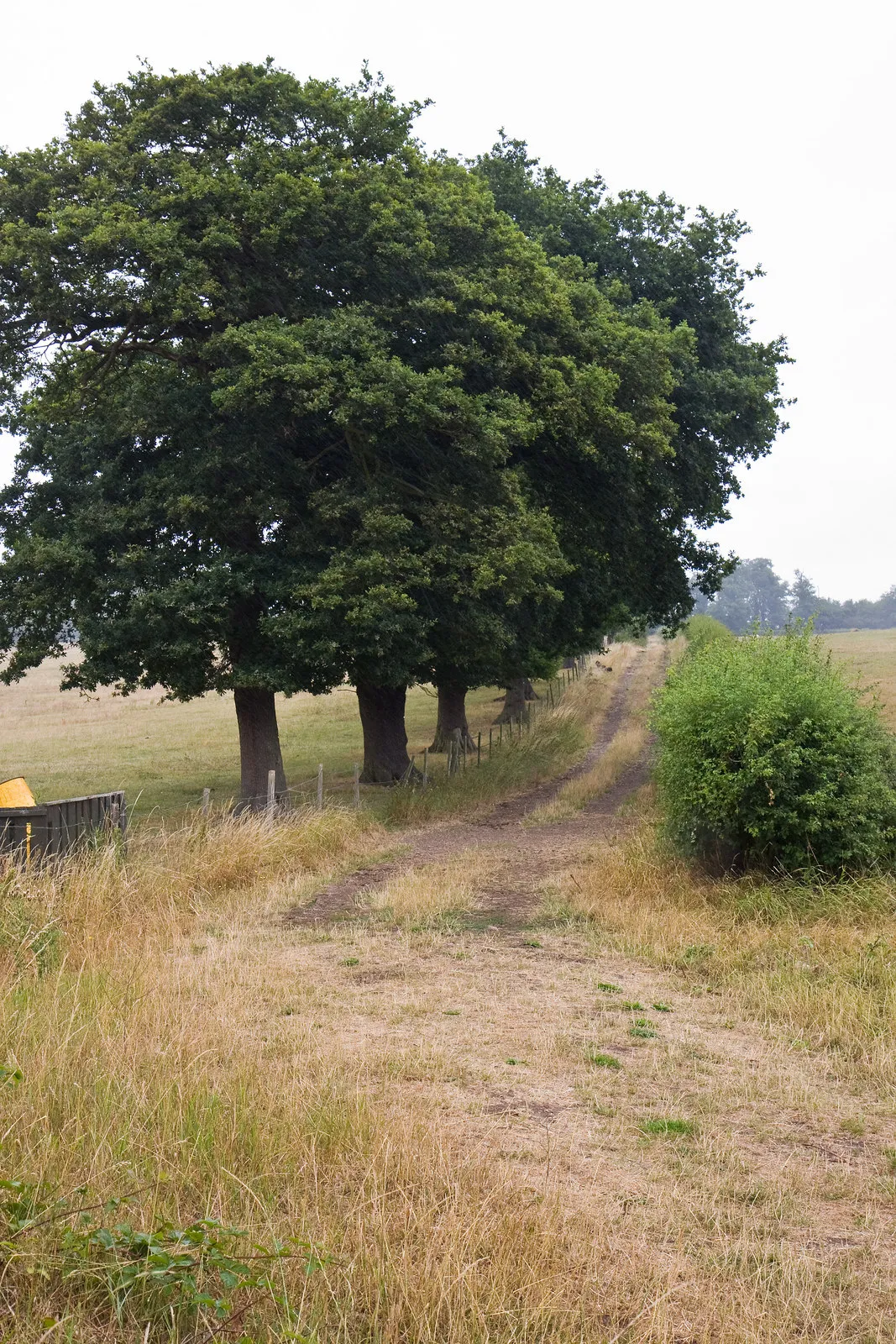 Photo showing: Access Track, Botany Bay Farm