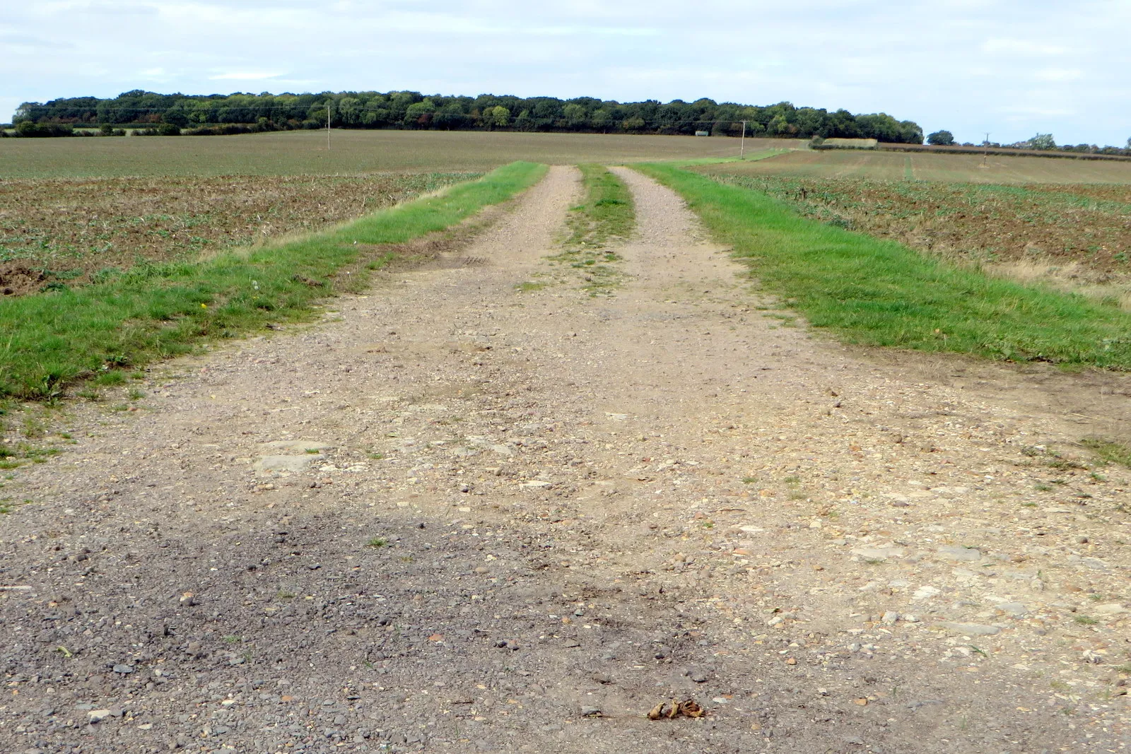 Photo showing: Farm track to Lavendon Wood