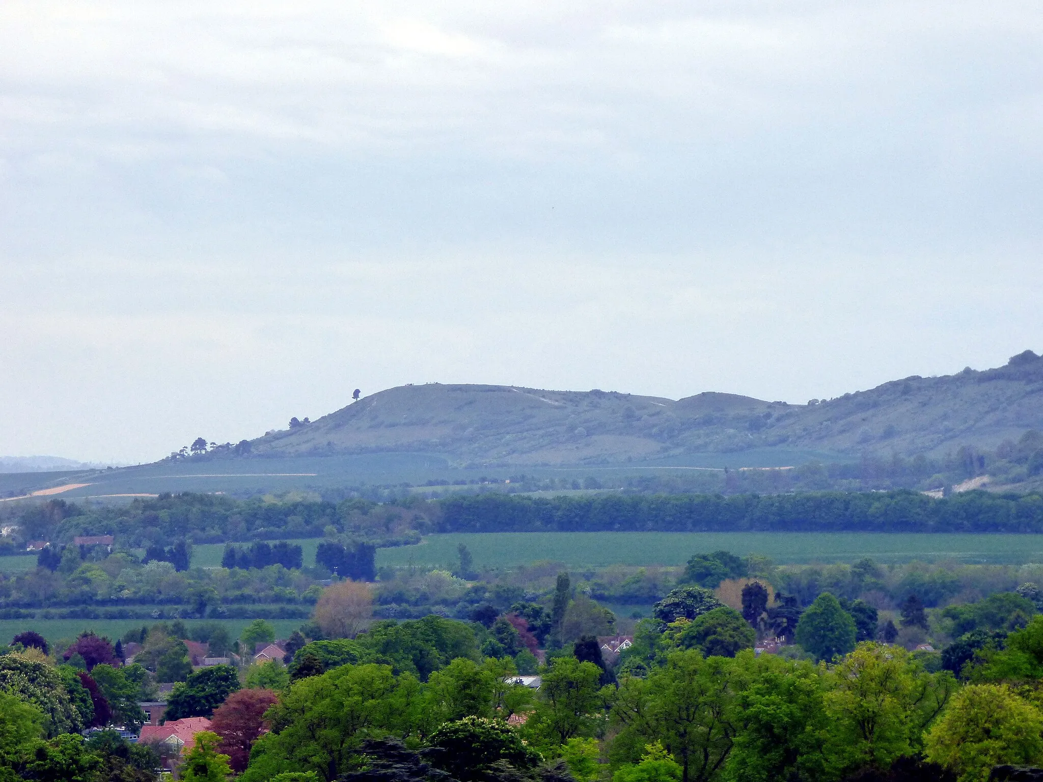 Photo showing: Ivinghoe Beacon, seen from the other side of Tring, Hertfordshire. We will reach the top of Ivinghoe Beacon in our June 2017 walk.
GOC Hertfordshire's walk on 13 May 2017, a 9.7-mile circular walk in and around Tring in Hertfordshire and Wendover Woods in Buckinghamshire. Martin T led the walk, which was attended by 14 people. We also shared the walk with the Milton Keynes and Buckinghamshire group, who usually walk on Sundays so not many people came from that group.

You can view my other photos of this event, read the original event report, find out more about the Gay Outdoor Club or see my collections.