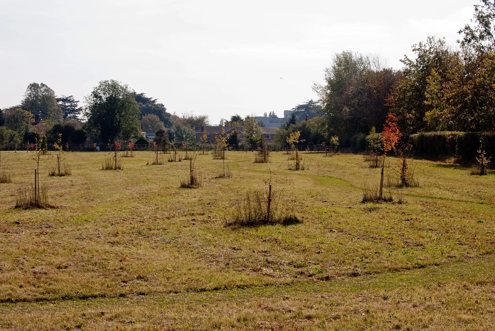 Photo showing: Alleyfield Burial Ground