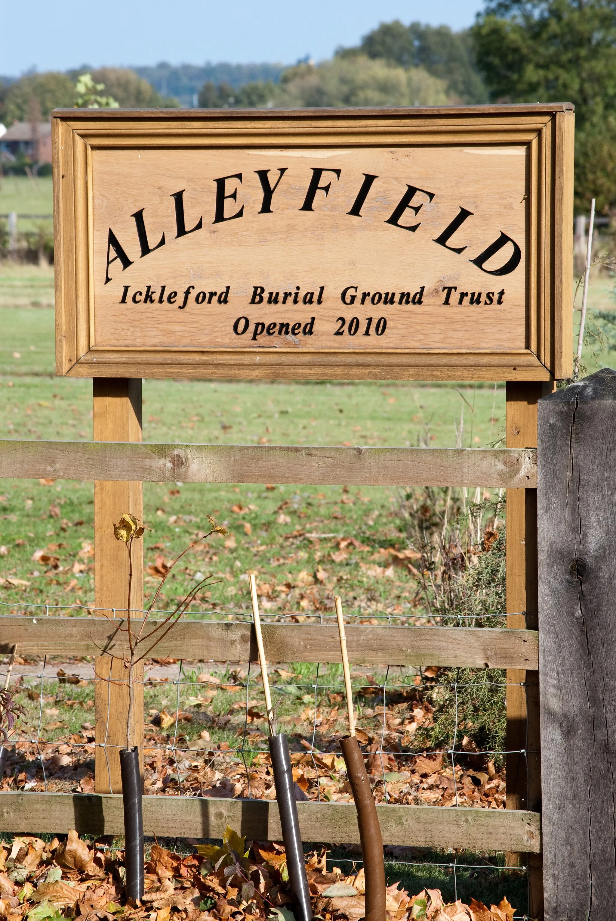 Photo showing: Alleyfield Burial Ground